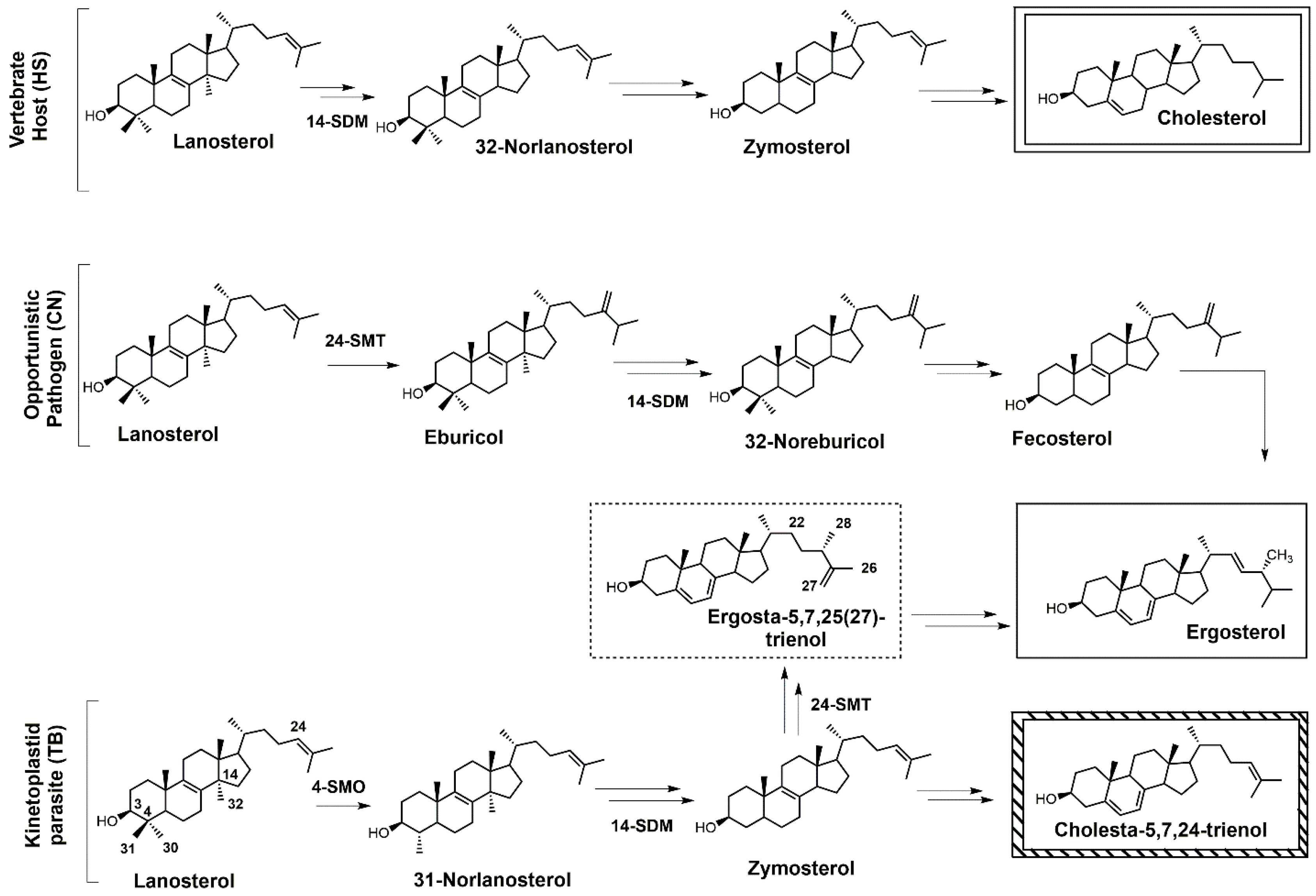 Molecules 23 01753 g001