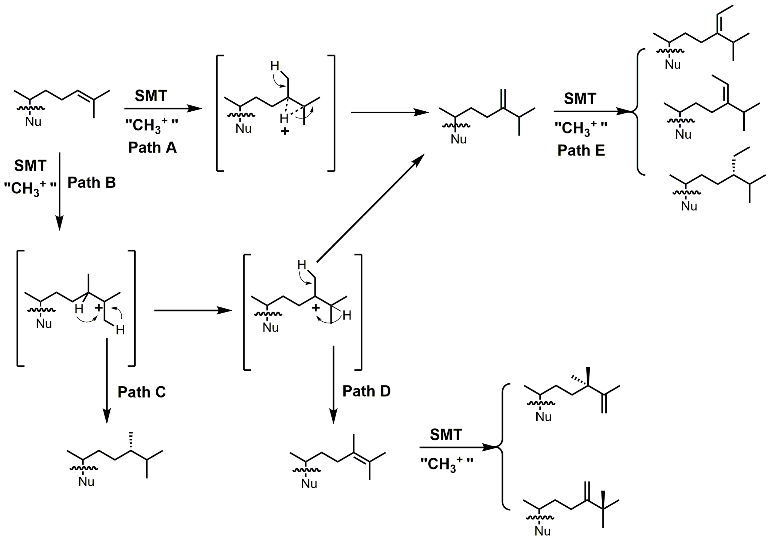 Molecules 23 01753 g018