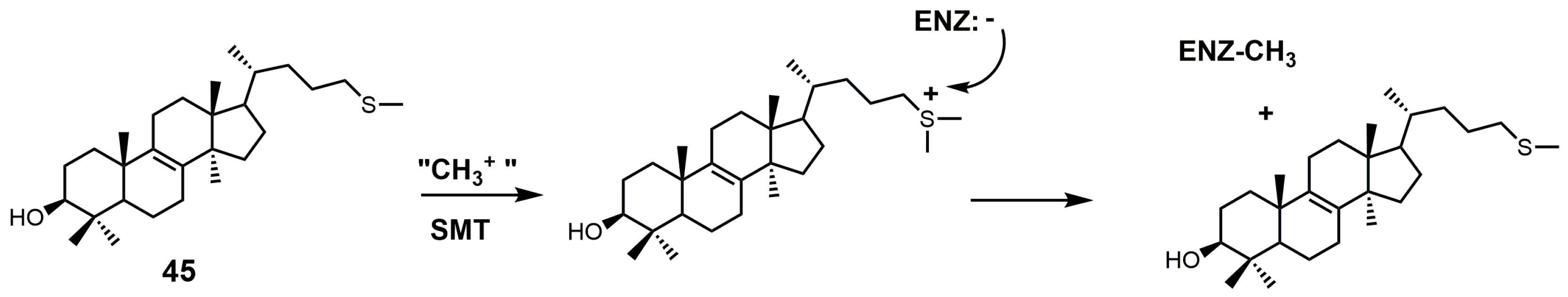 Molecules 23 01753 g026