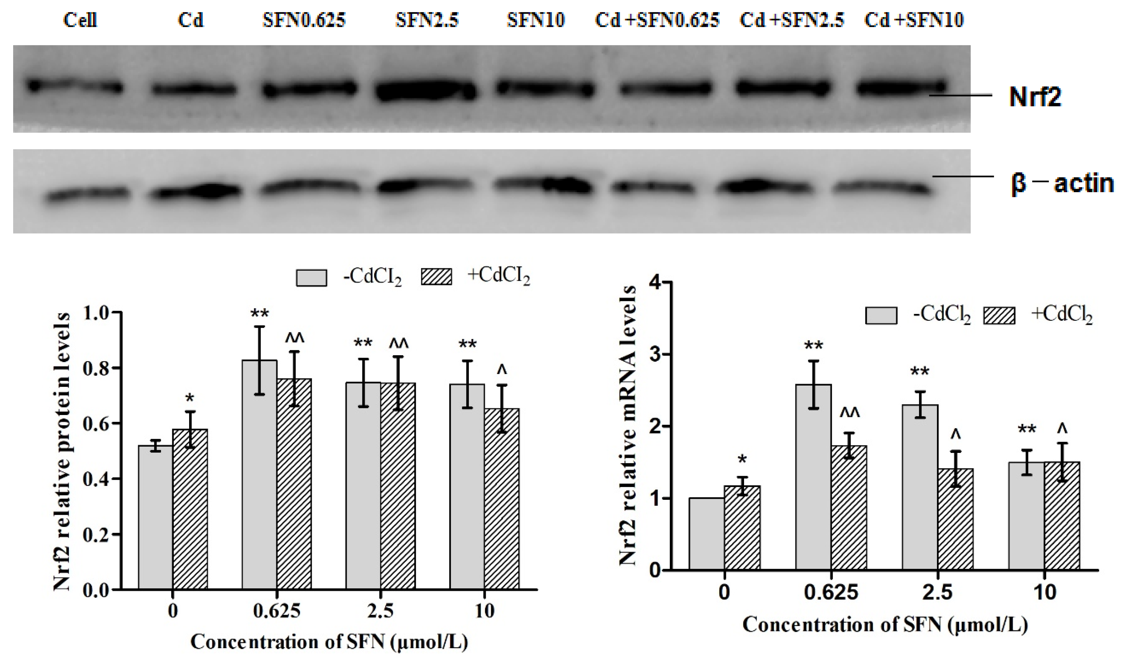 Molecules 23 01774 g007