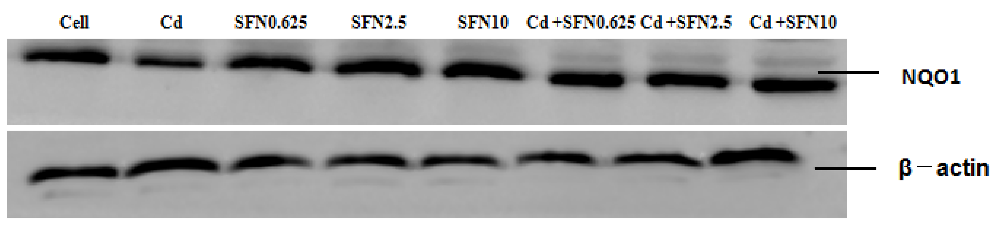 Molecules 23 01774 g008a