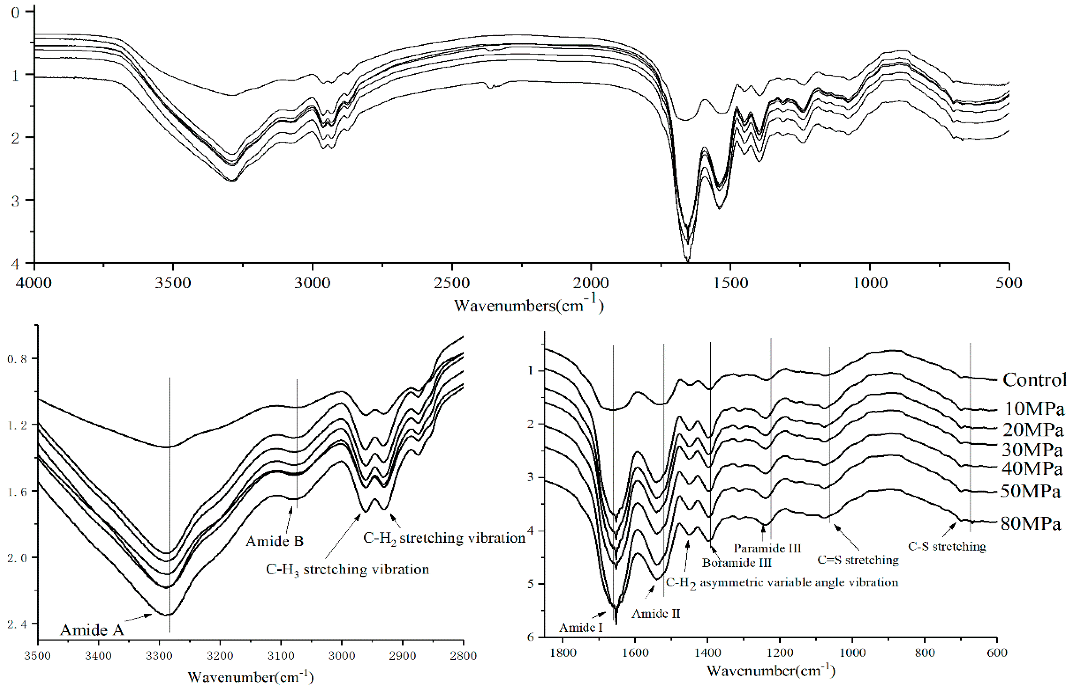 Molecules 23 01775 g004