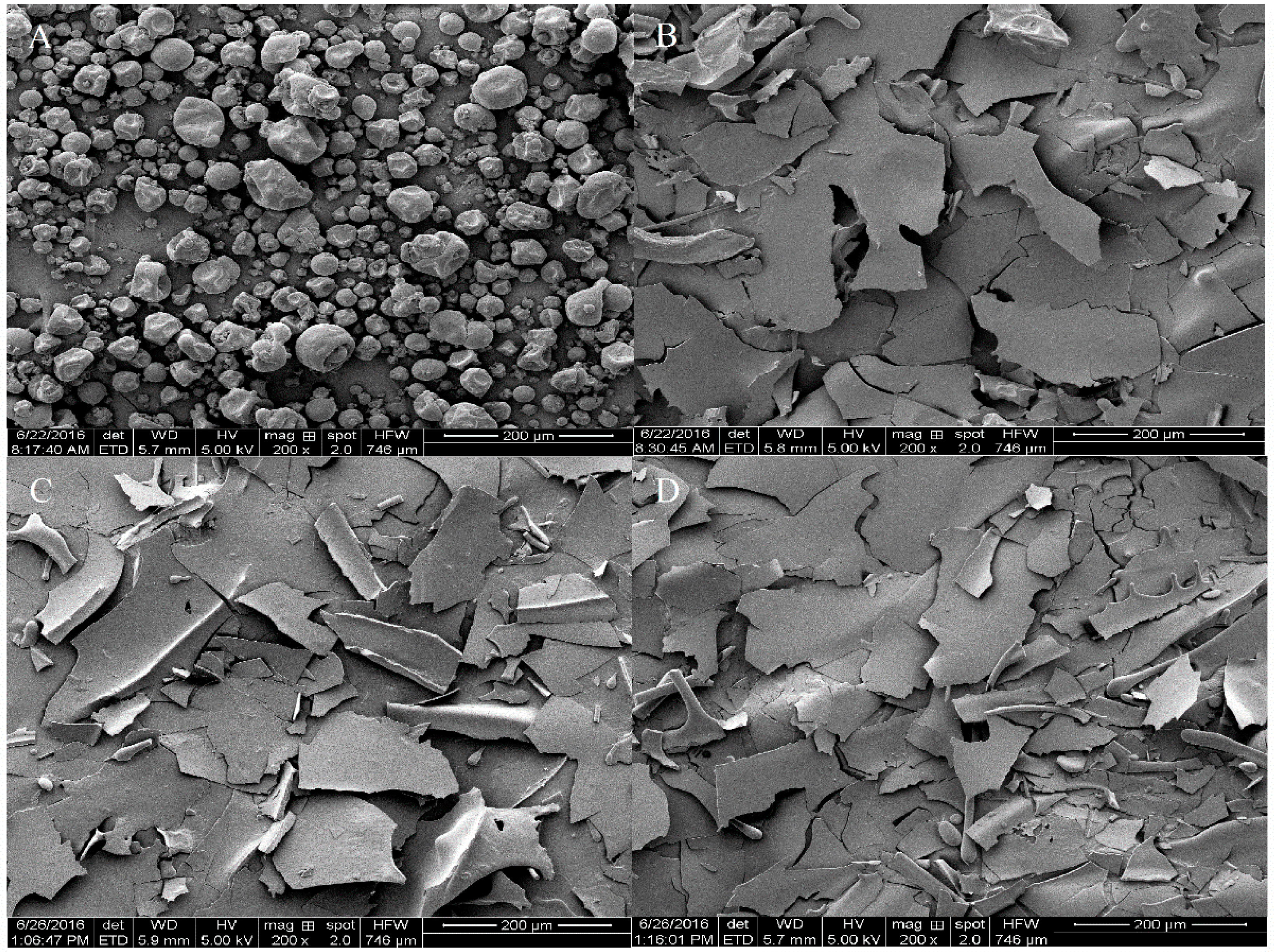 Molecules 23 01775 g005