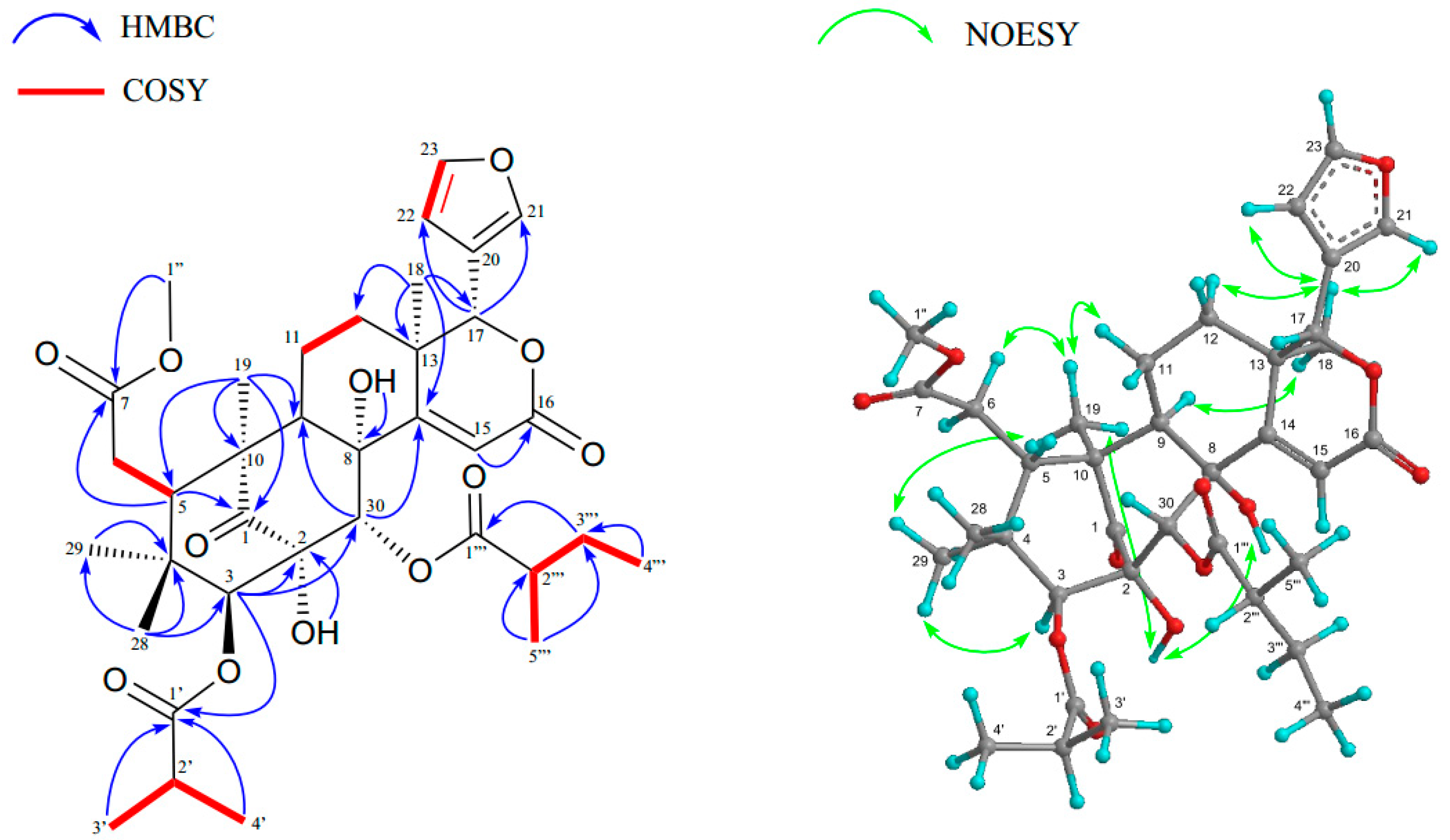 Molecules 23 01778 g003