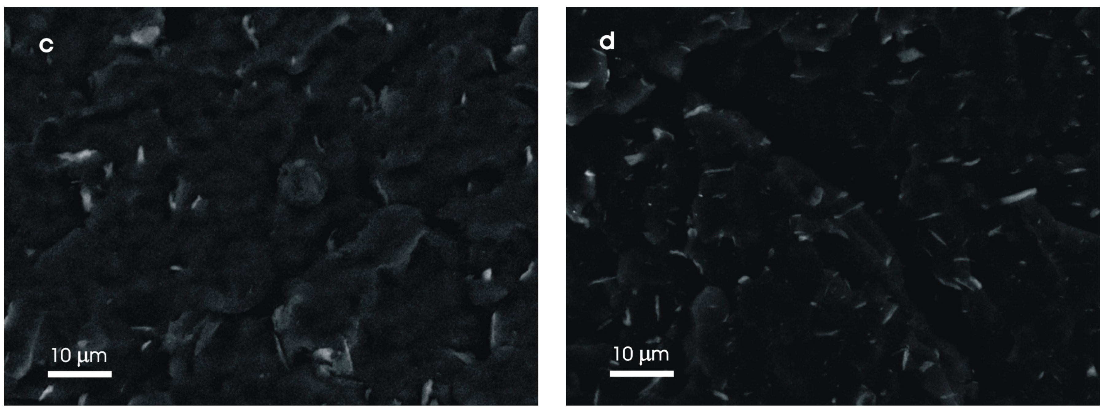 Molecules 23 01782 g008b