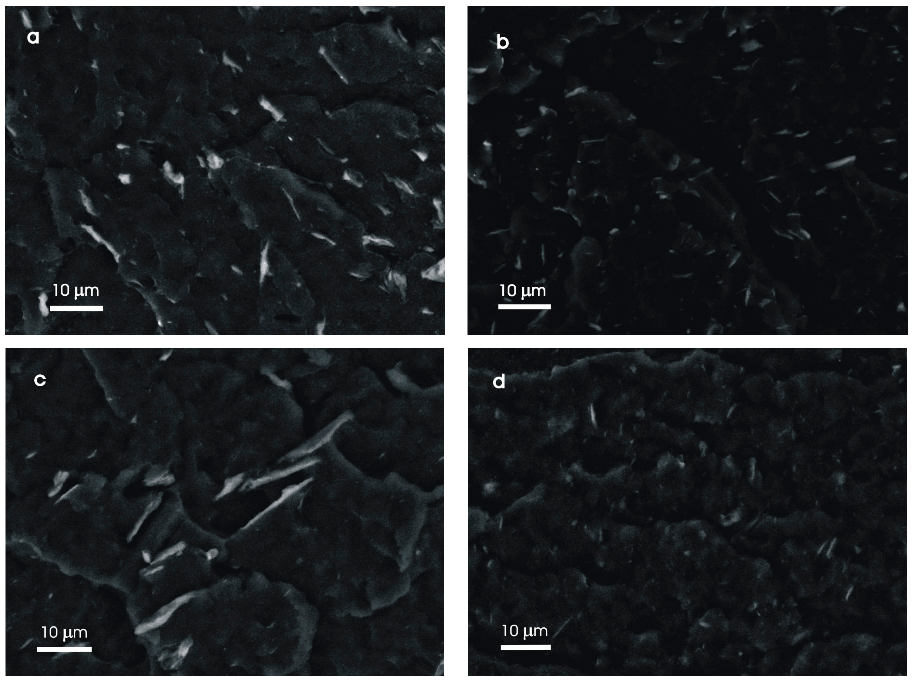 Molecules 23 01782 g009