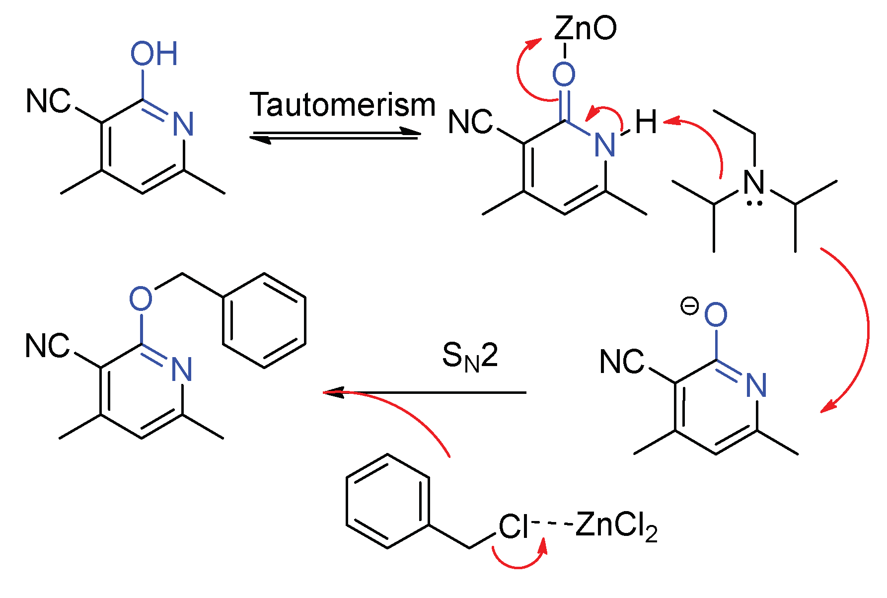 Molecules 23 01784 sch004