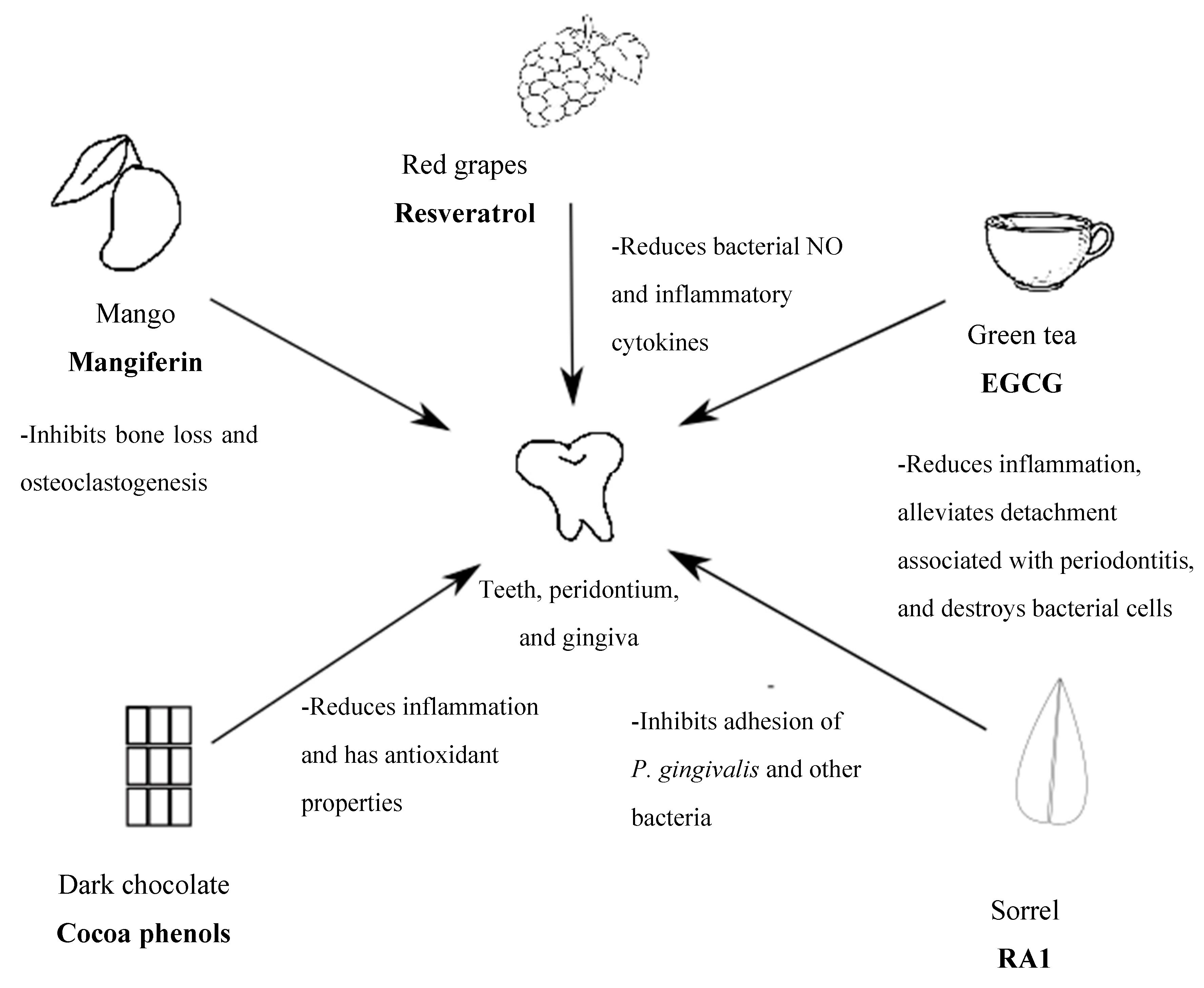 Molecules 23 01786 g001