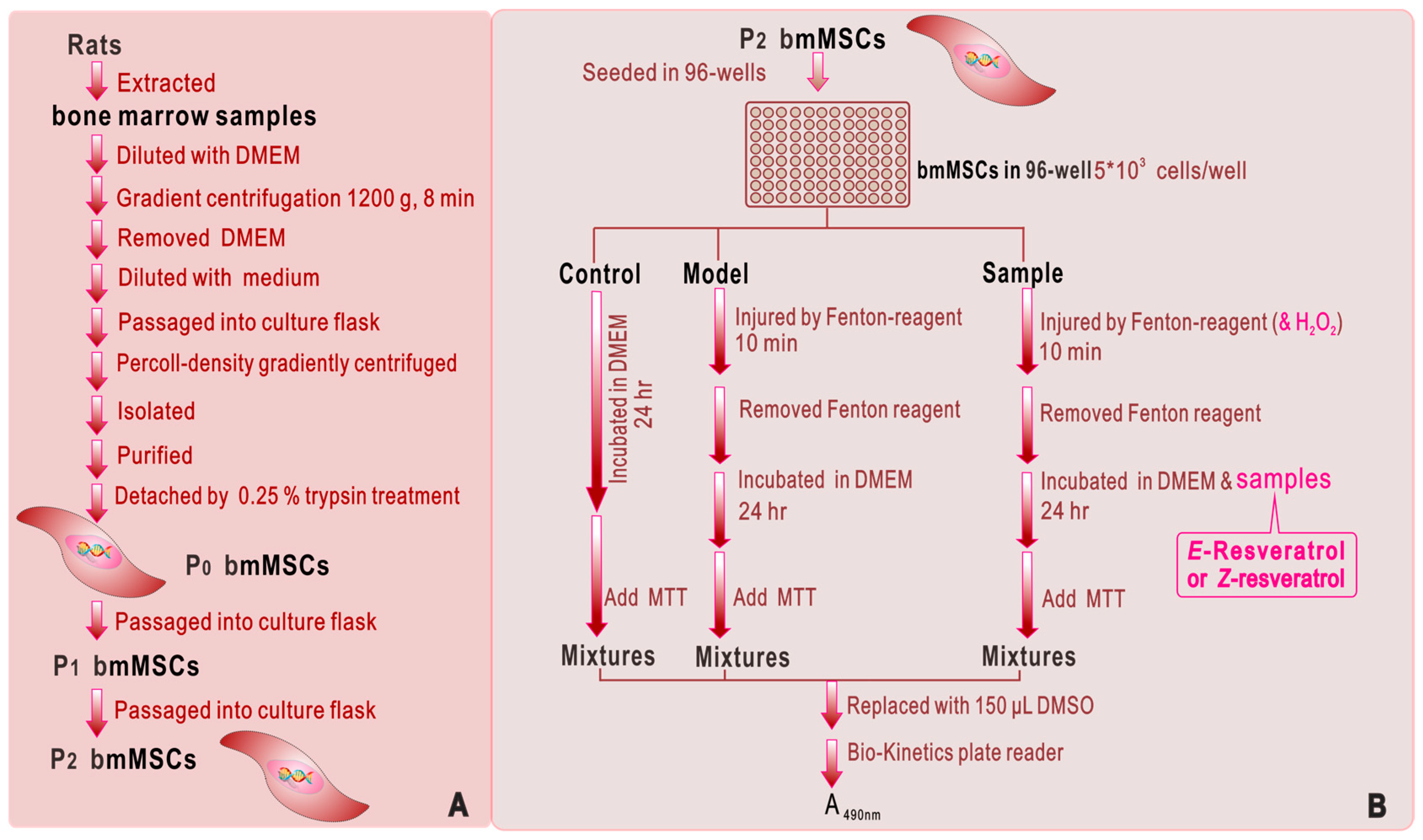 Molecules 23 01790 g004