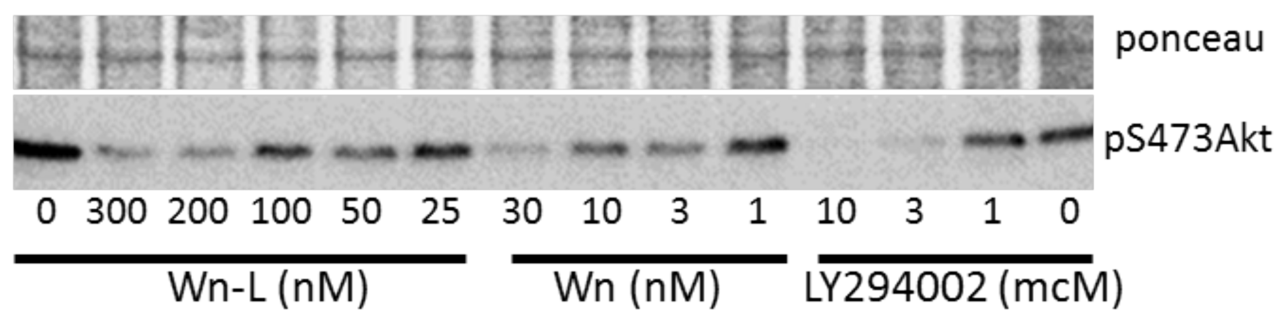 Molecules 23 01791 g001