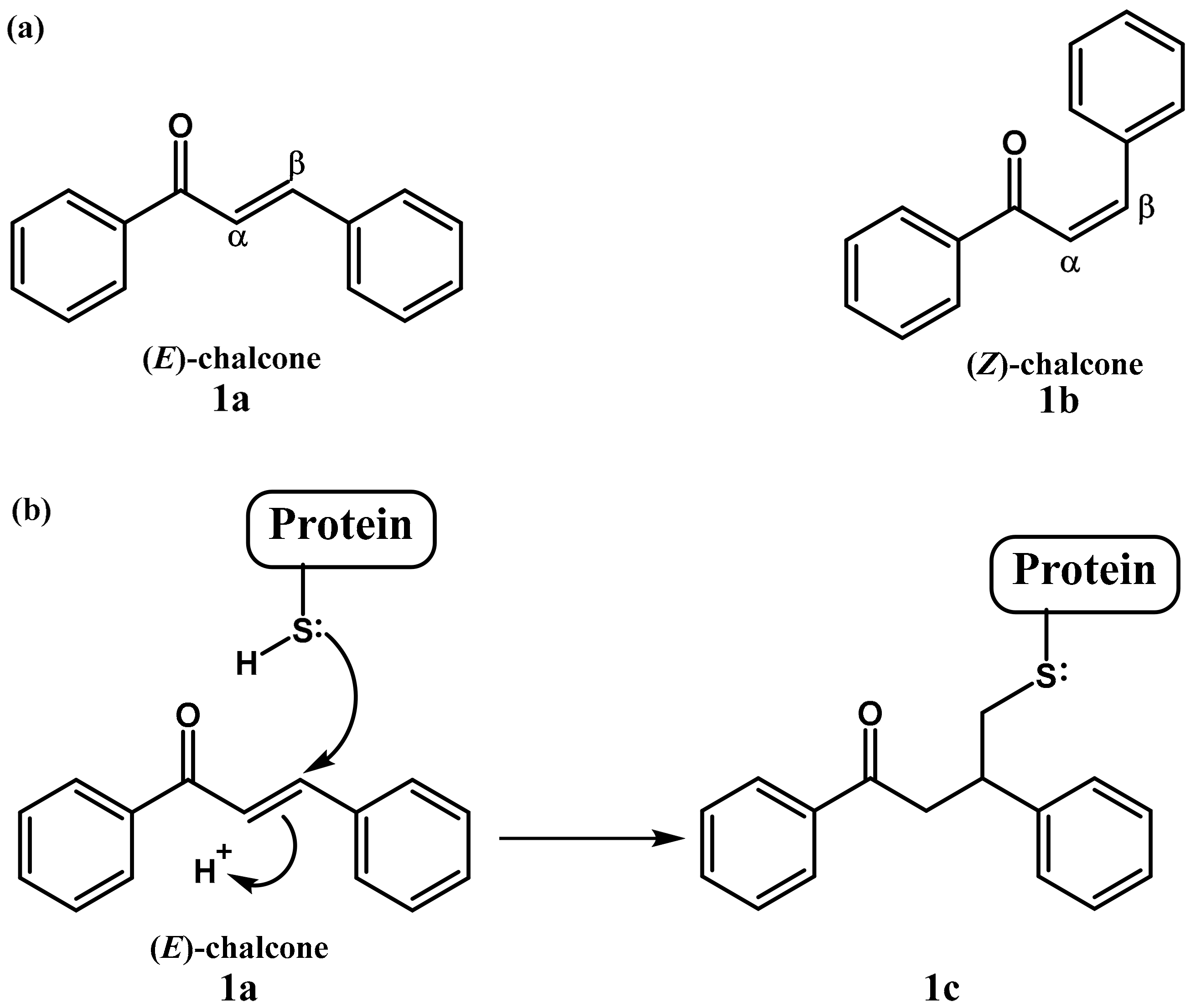 Molecules 23 01803 g001