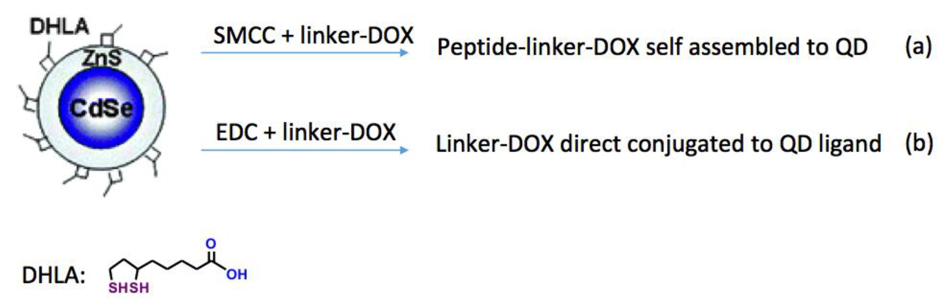 Molecules 23 01809 g001 Molecules 23 01809 g001