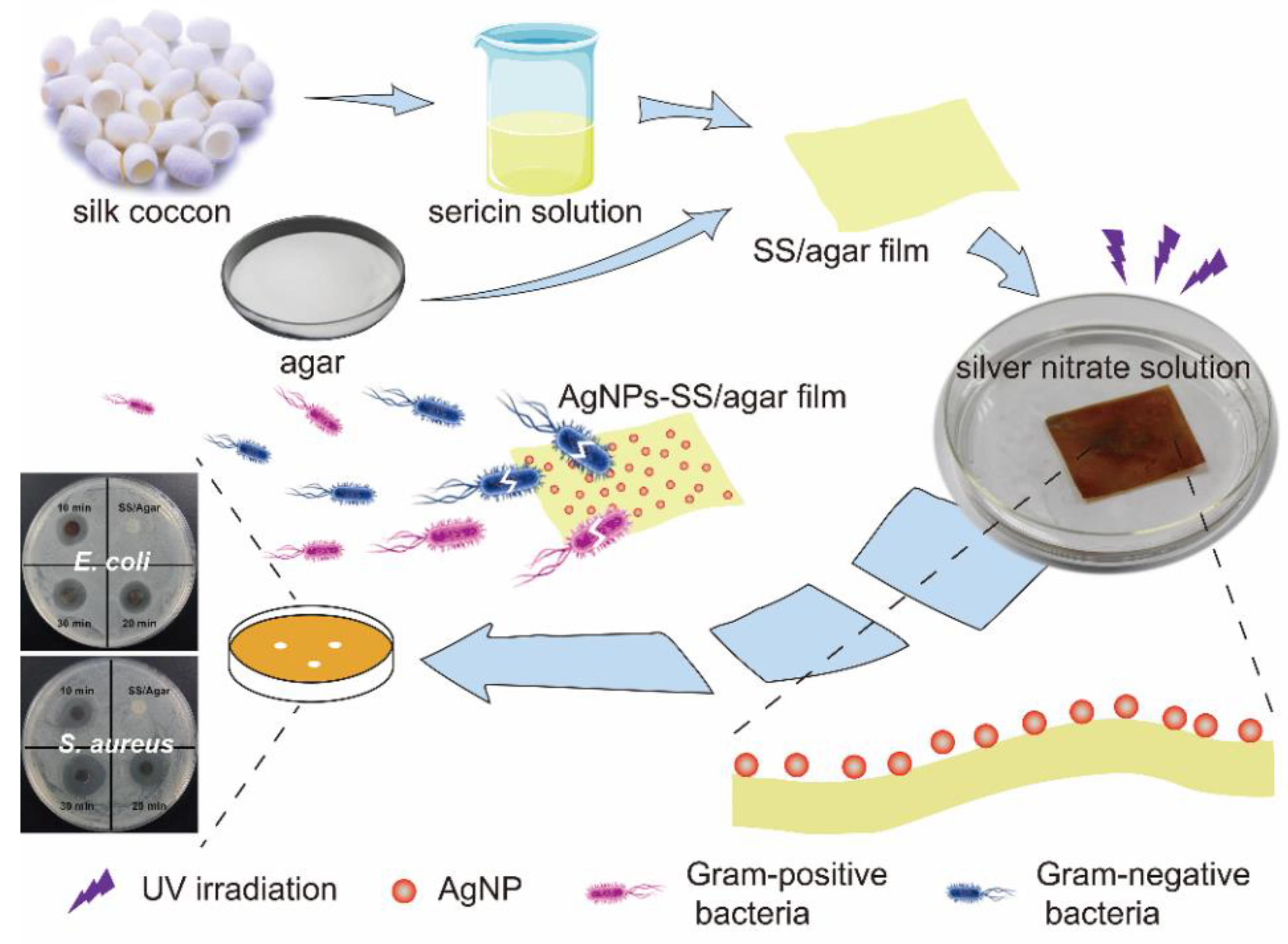 Molecules 23 01821 g001