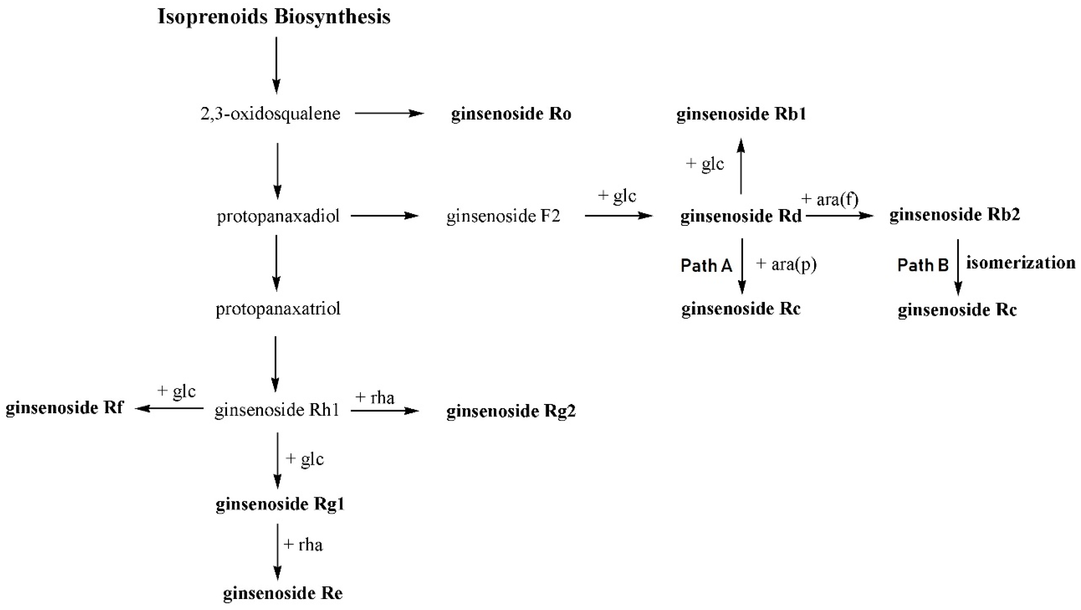 Molecules 23 01824 g007