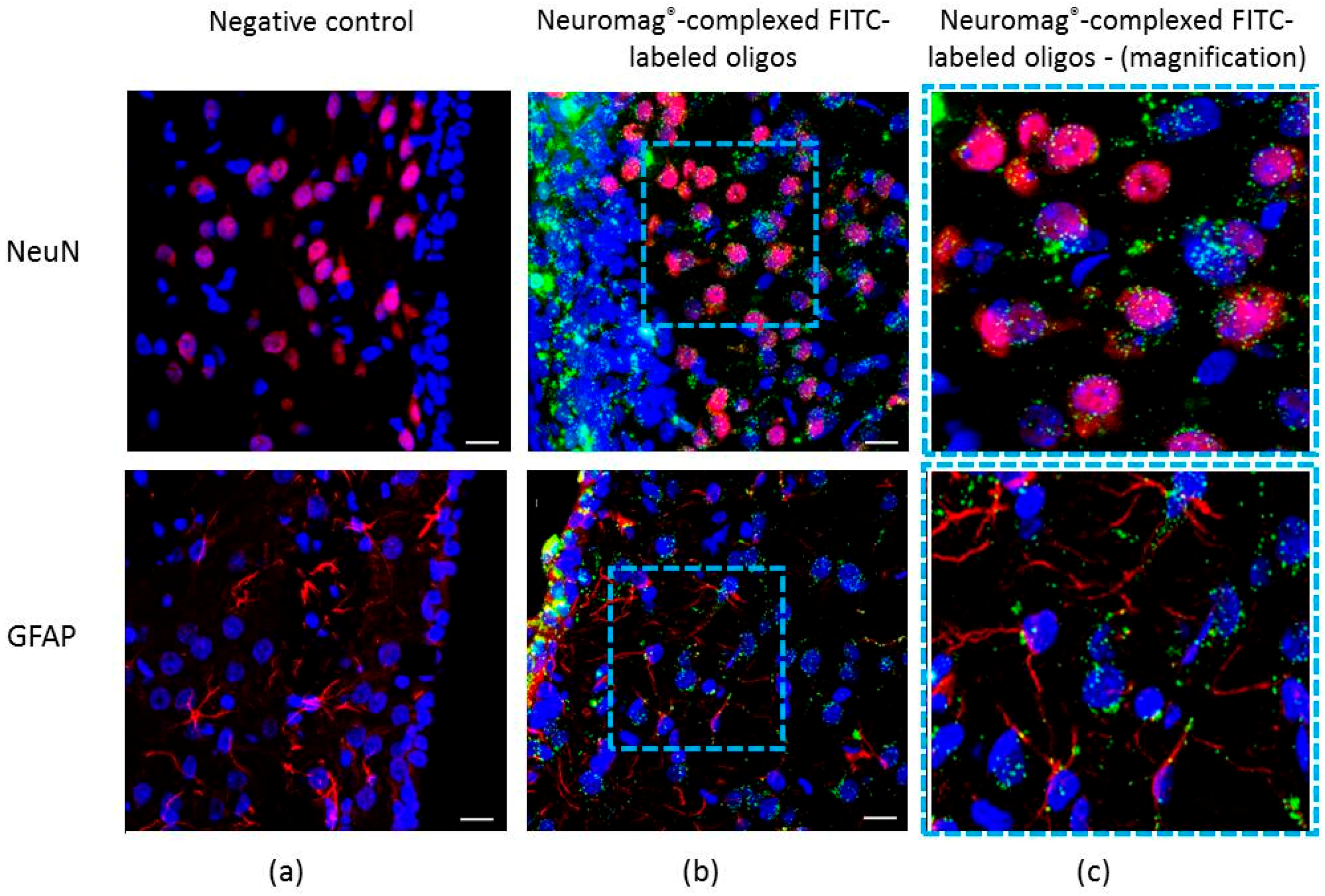 Molecules 23 01825 g001 Molecules 23 01825 g001