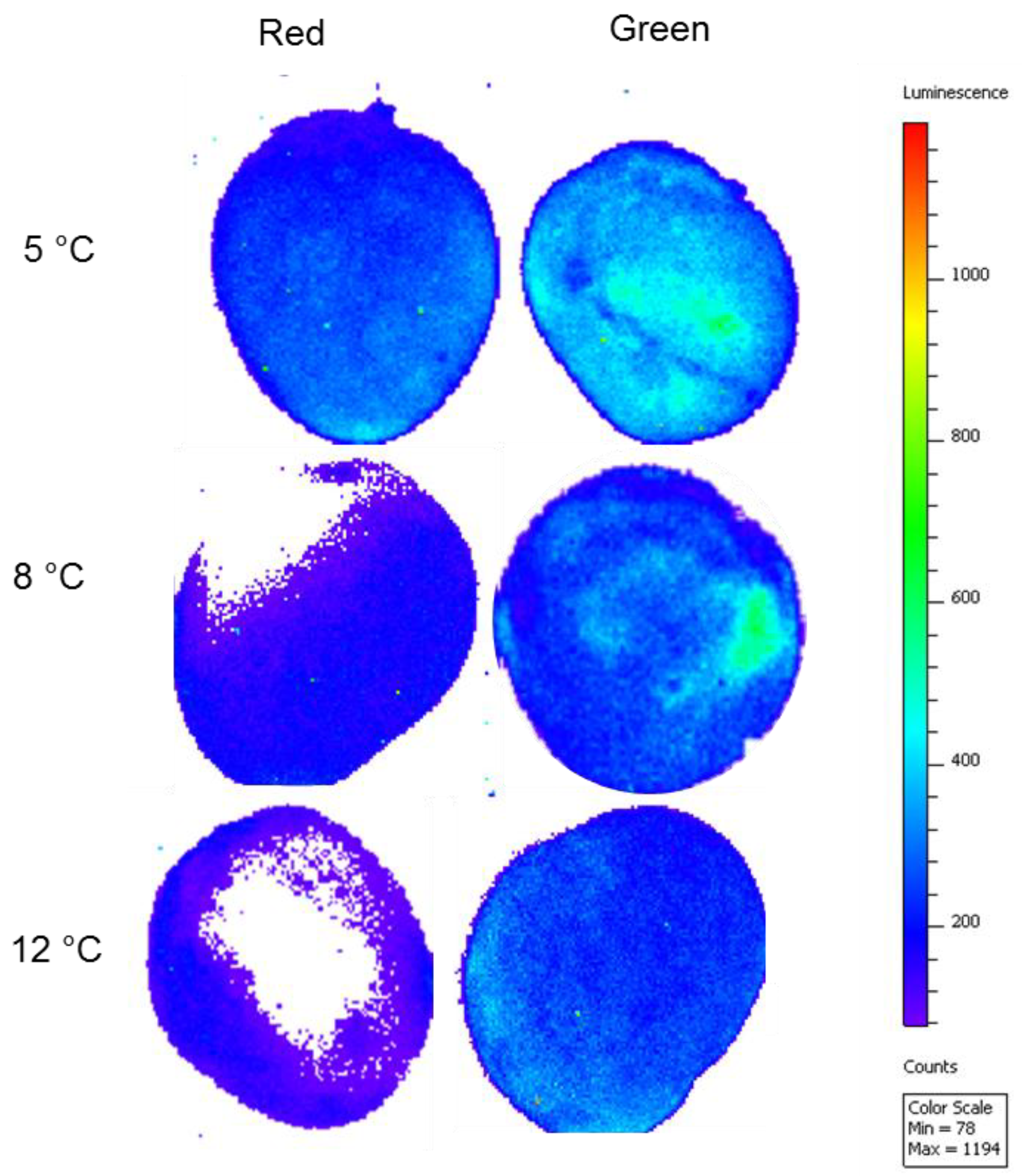 Molecules 23 01832 g005