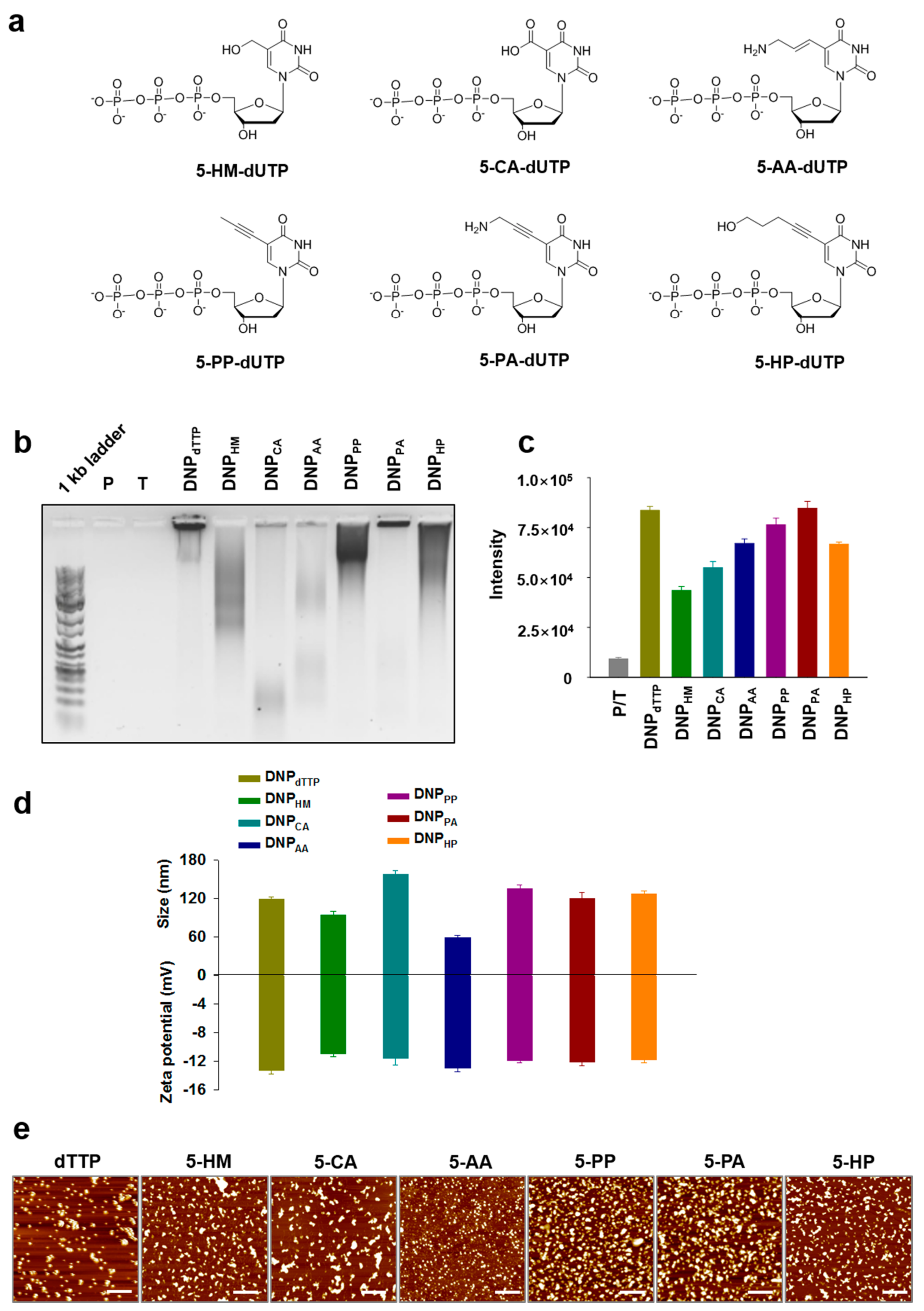 Molecules 23 01833 g002