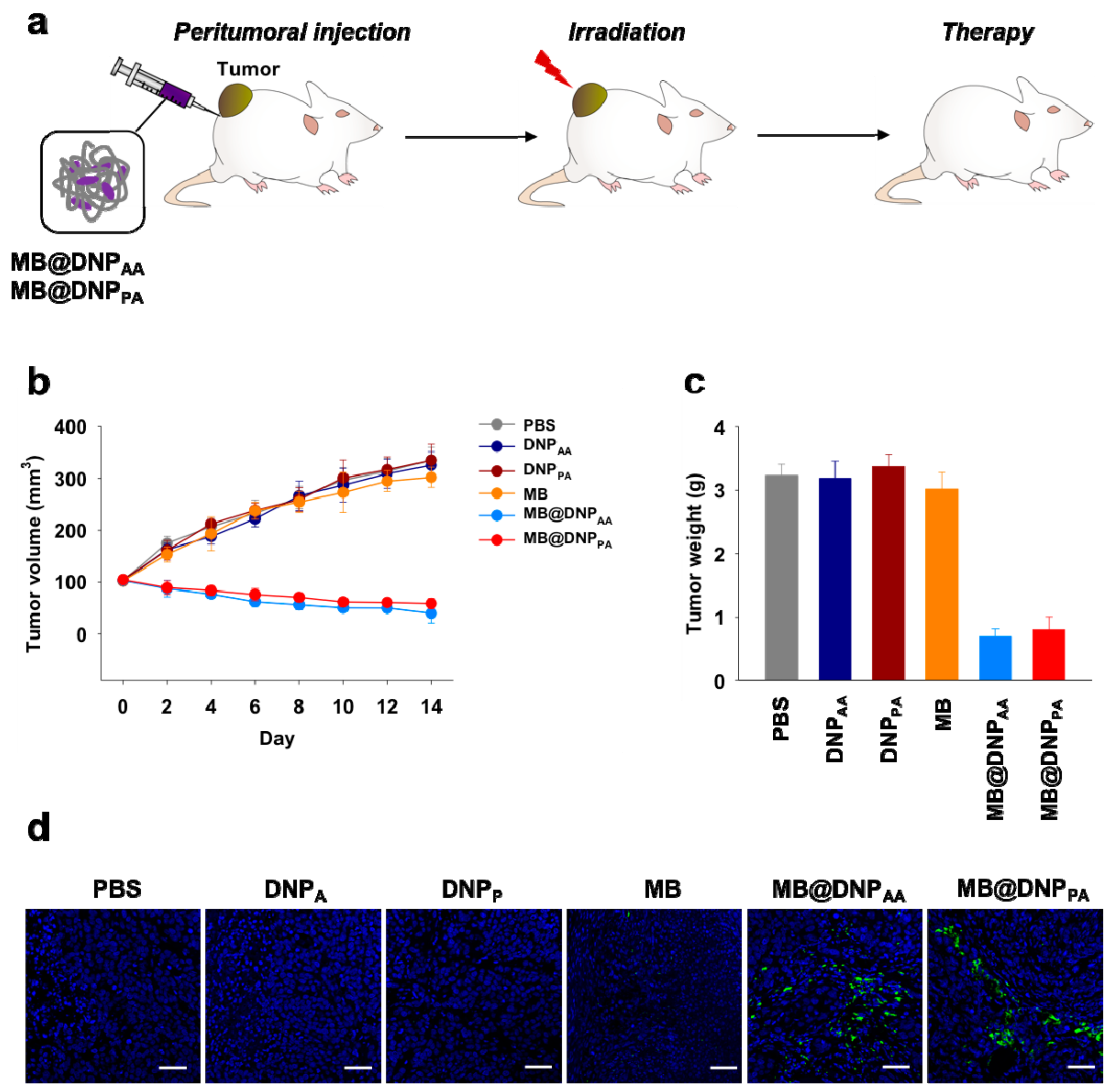 Molecules 23 01833 g005