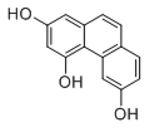 Molecules 23 01862 i030 Molecules 23 01862 i030