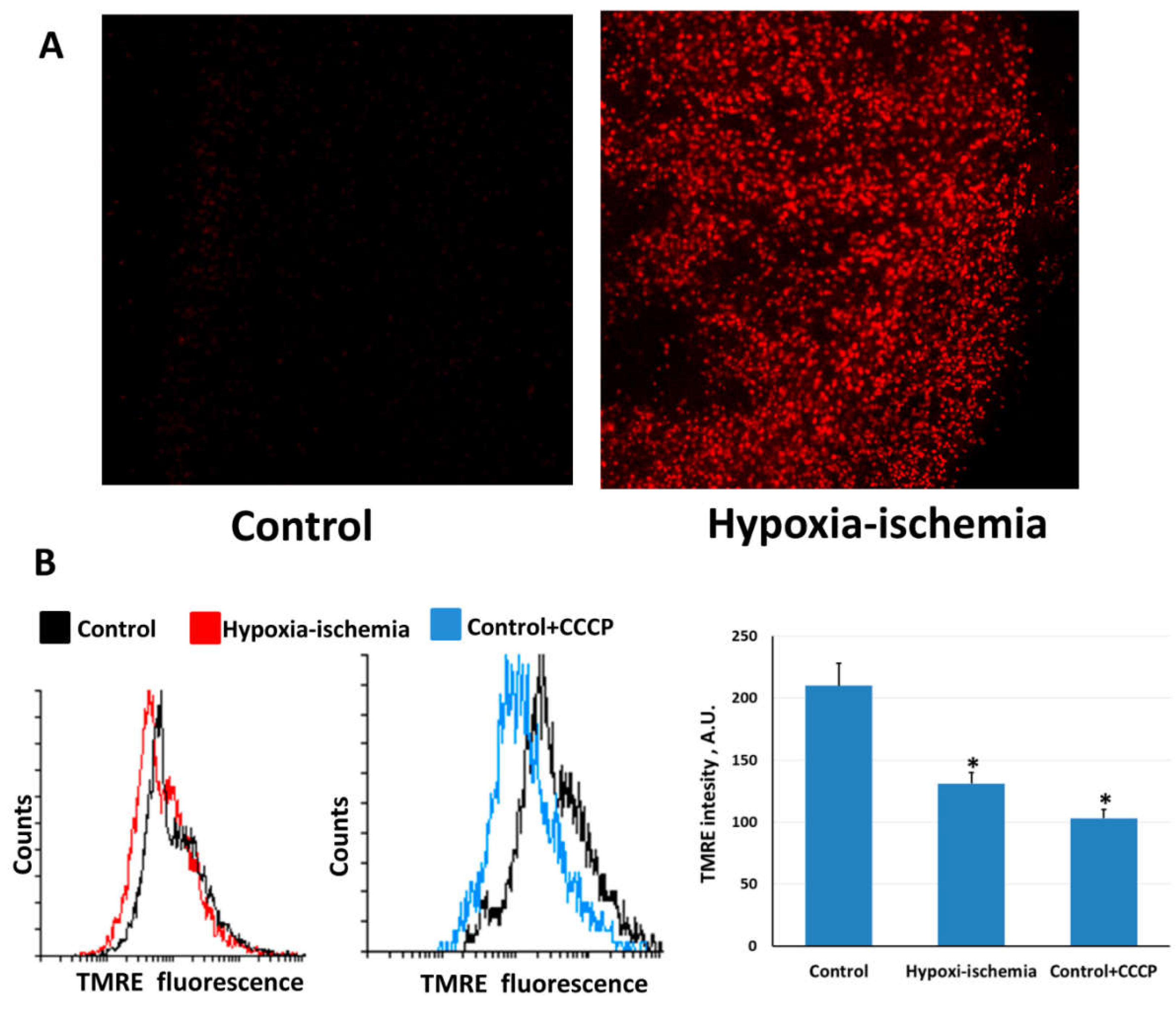 Molecules 23 01871 g001