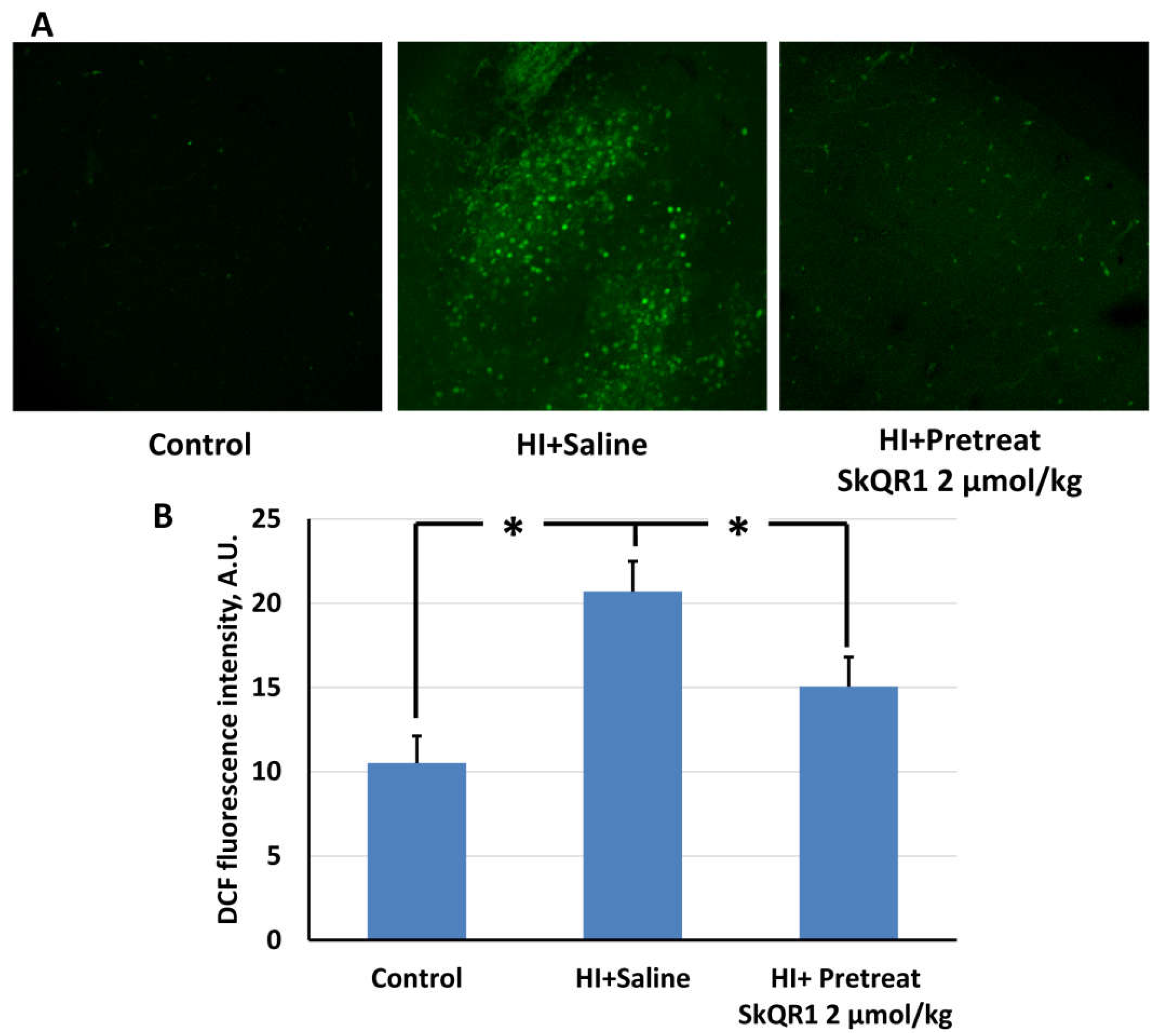 Molecules 23 01871 g002