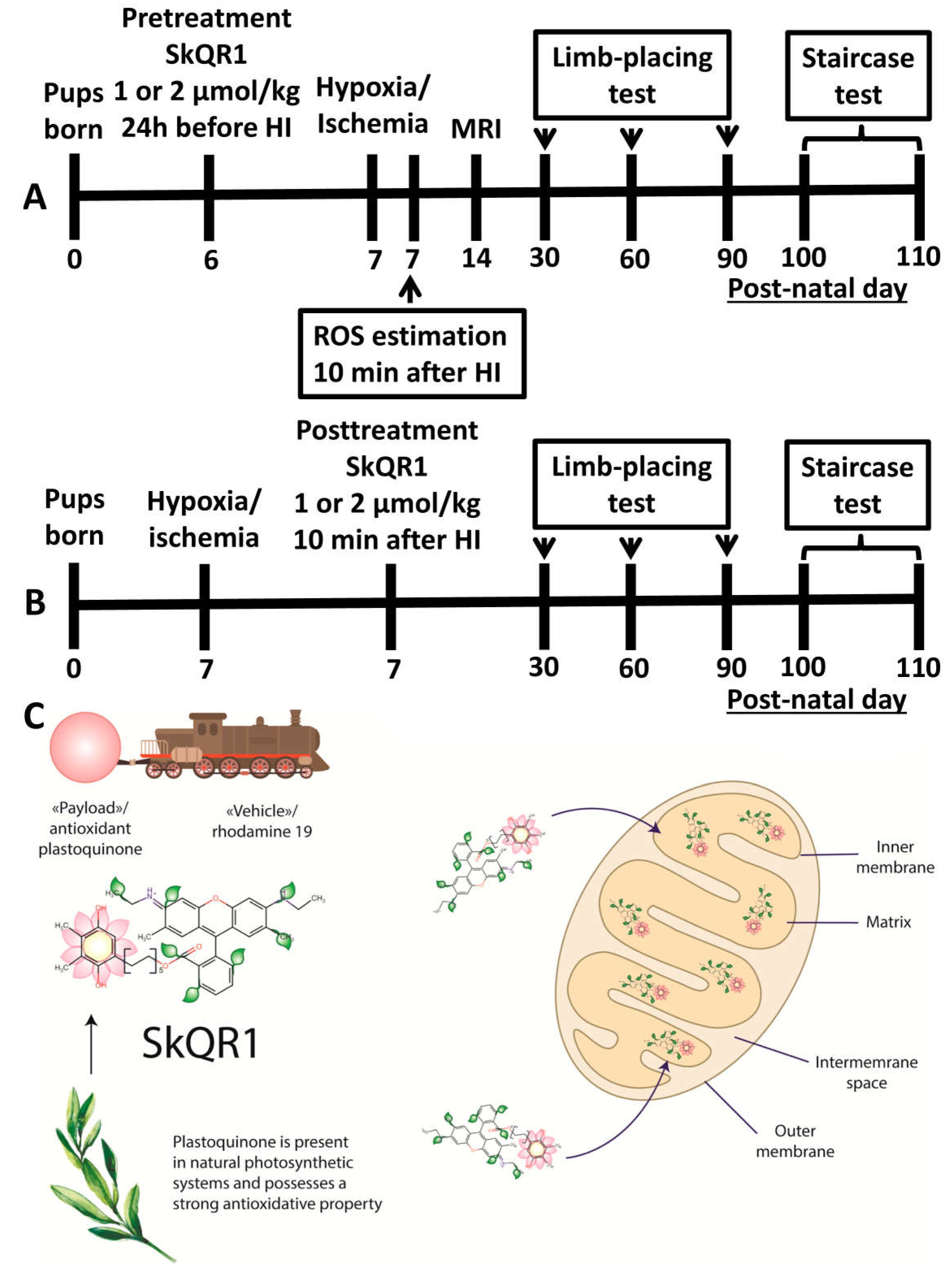 Molecules 23 01871 g006