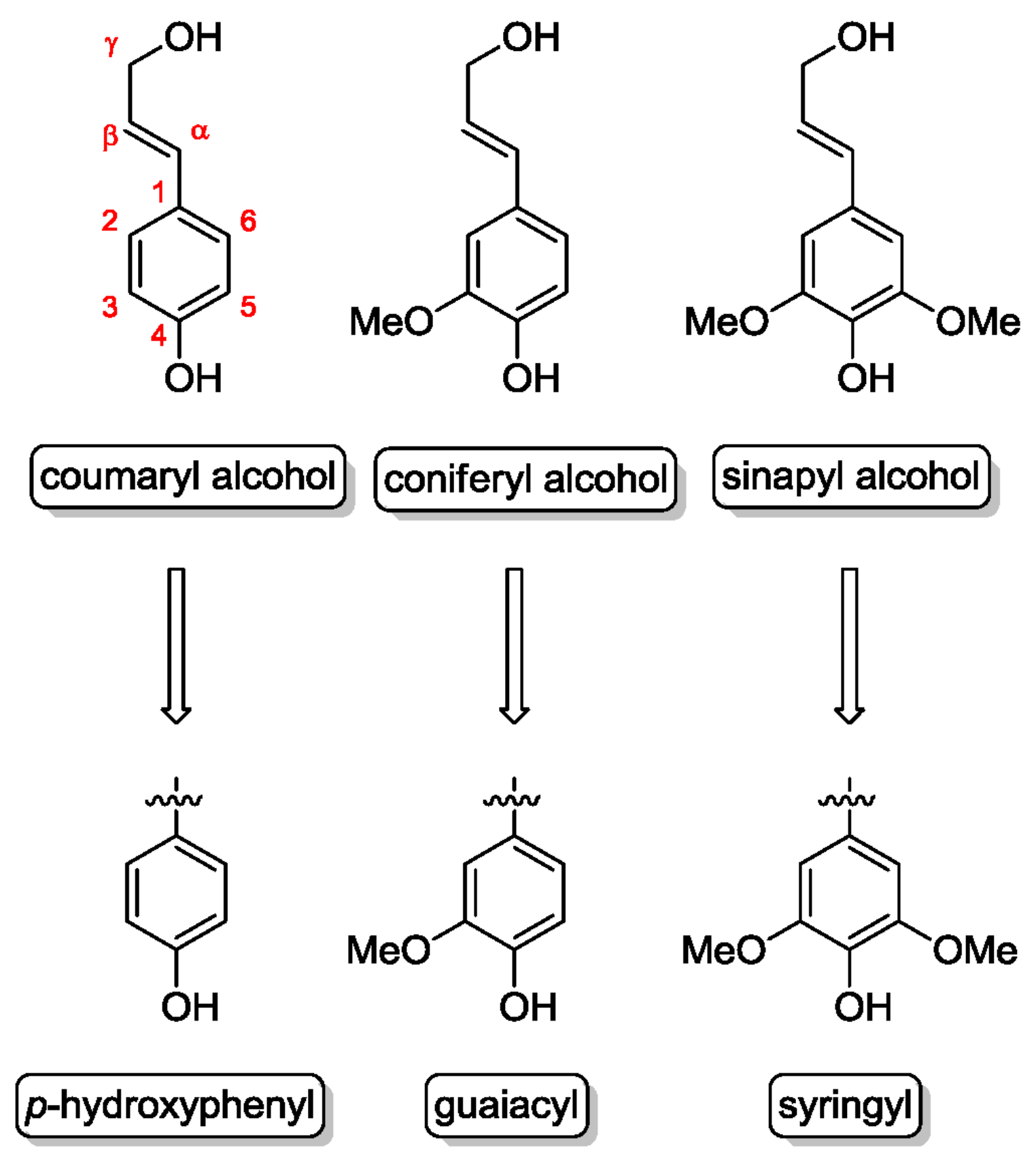 Molecules 23 01885 g003 Molecules 23 01885 g003