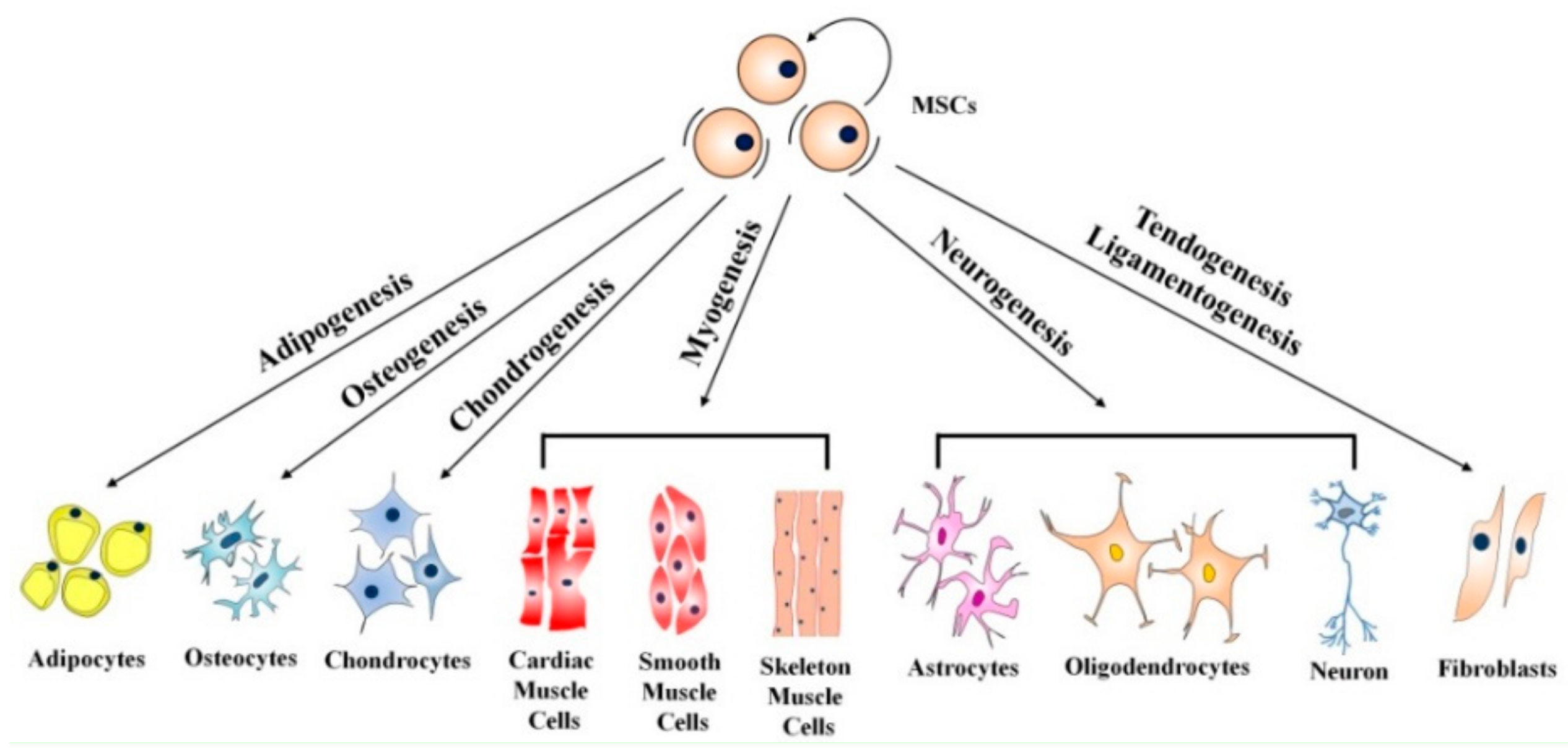 Molecules 23 01885 g008 Molecules 23 01885 g008
