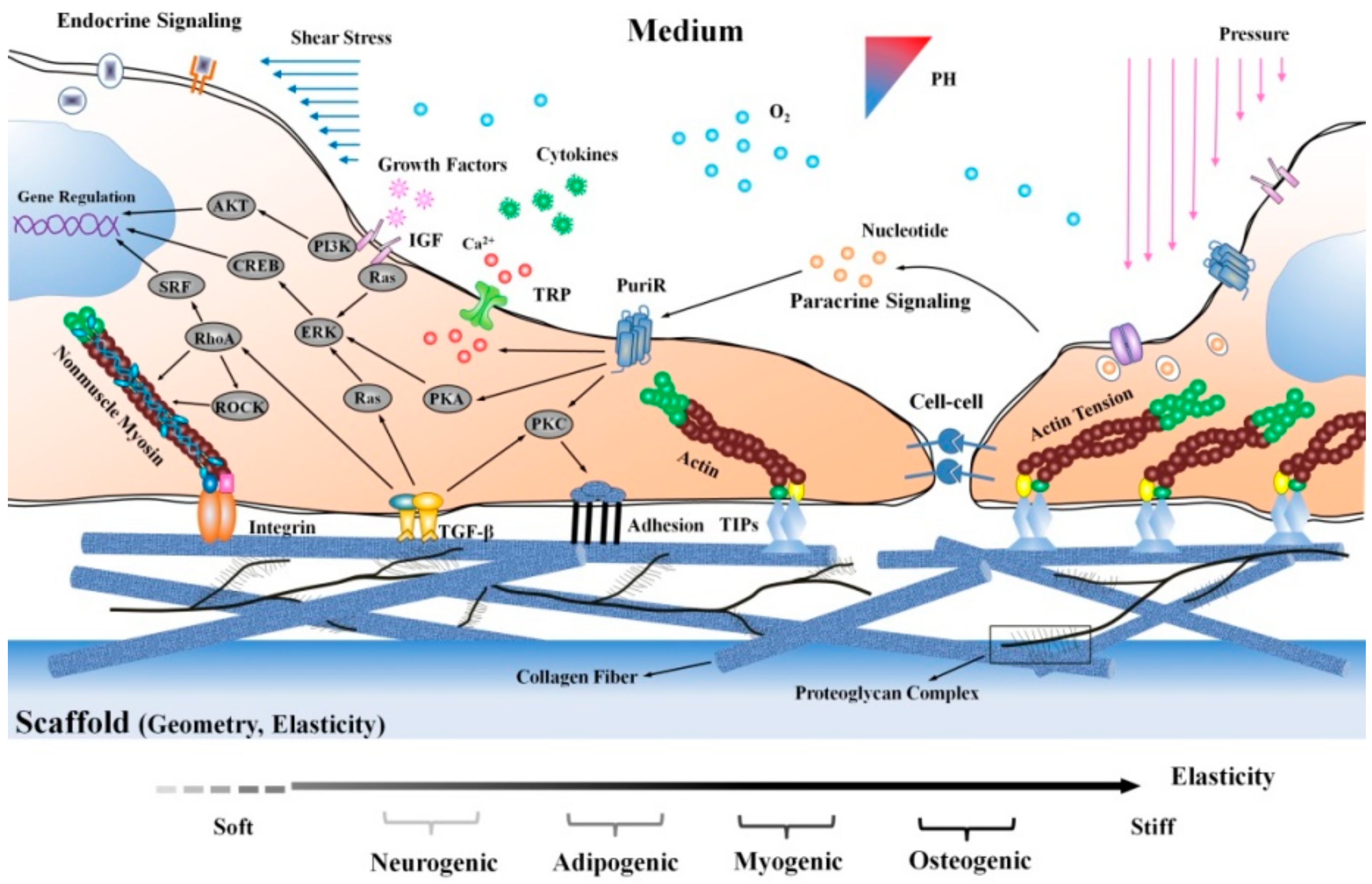 Molecules 23 01885 g009 Molecules 23 01885 g009