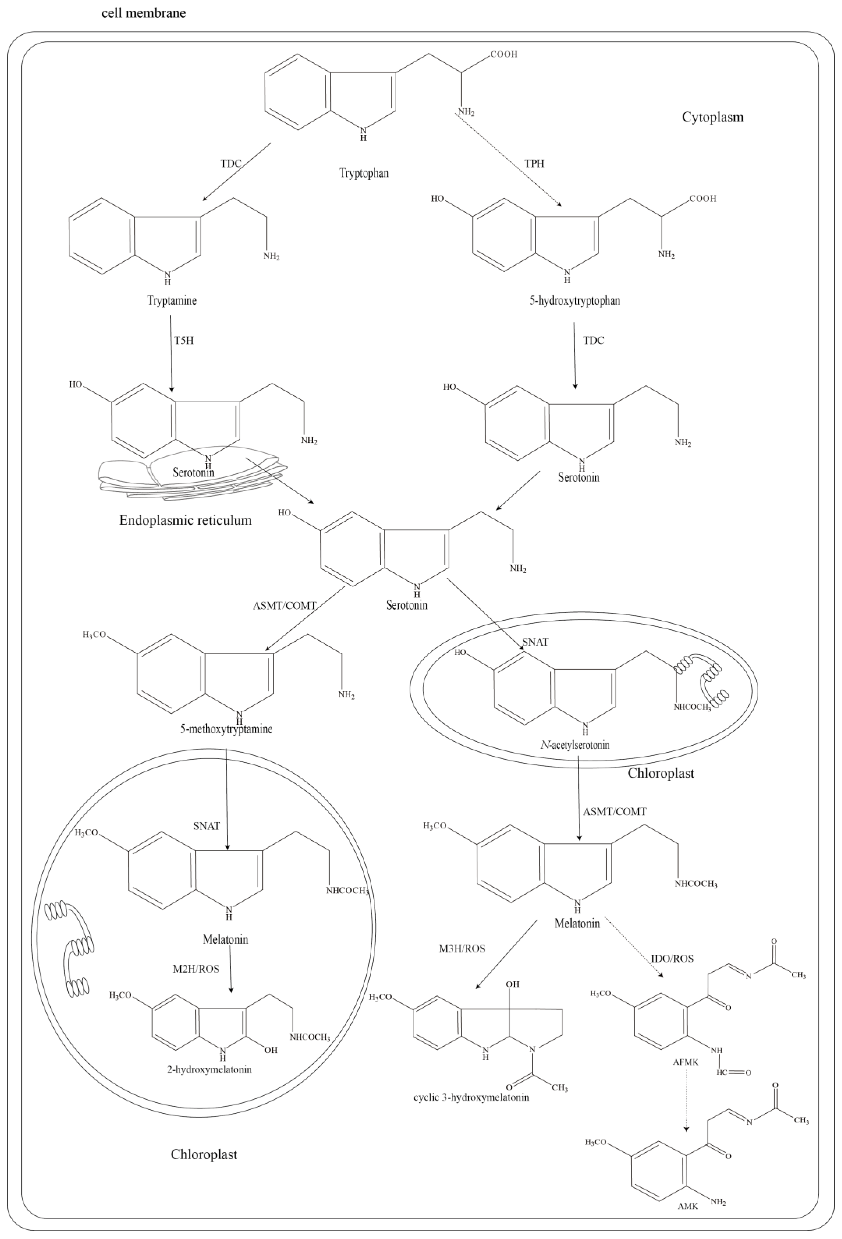 Molecules 23 01887 g001
