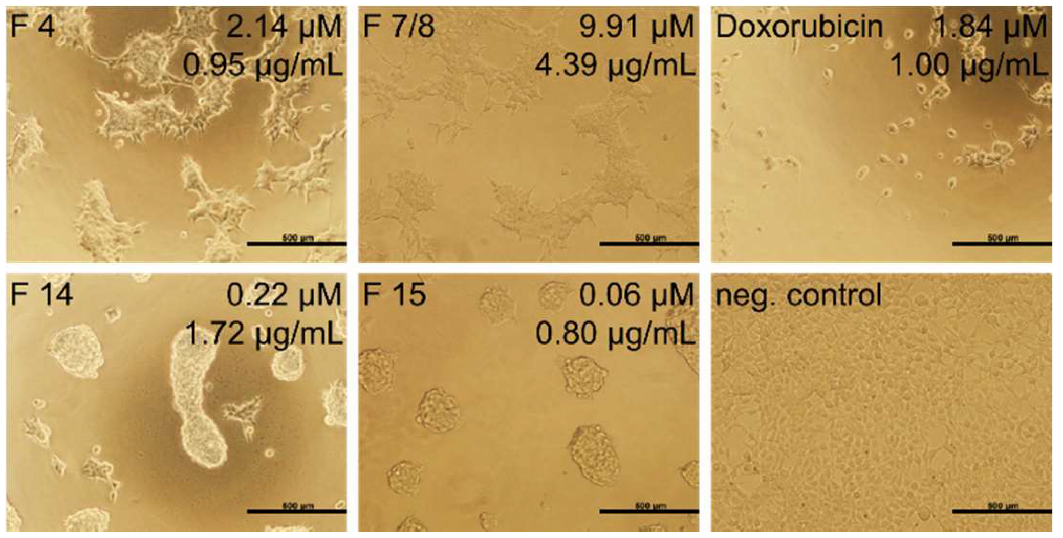 Molecules 23 01893 g005