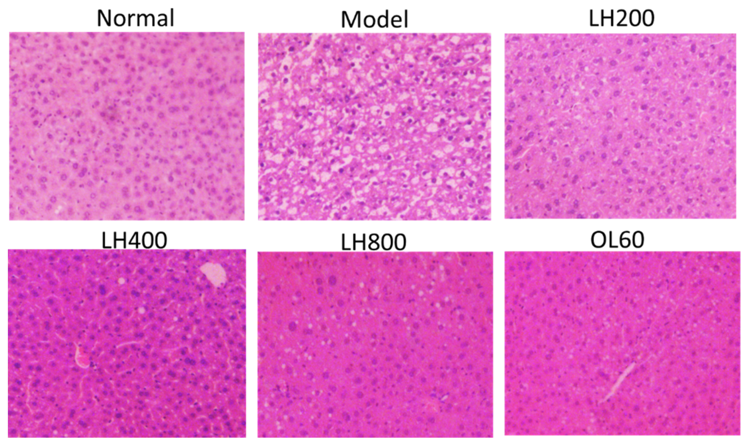 Molecules 23 01894 g005 Molecules 23 01894 g005