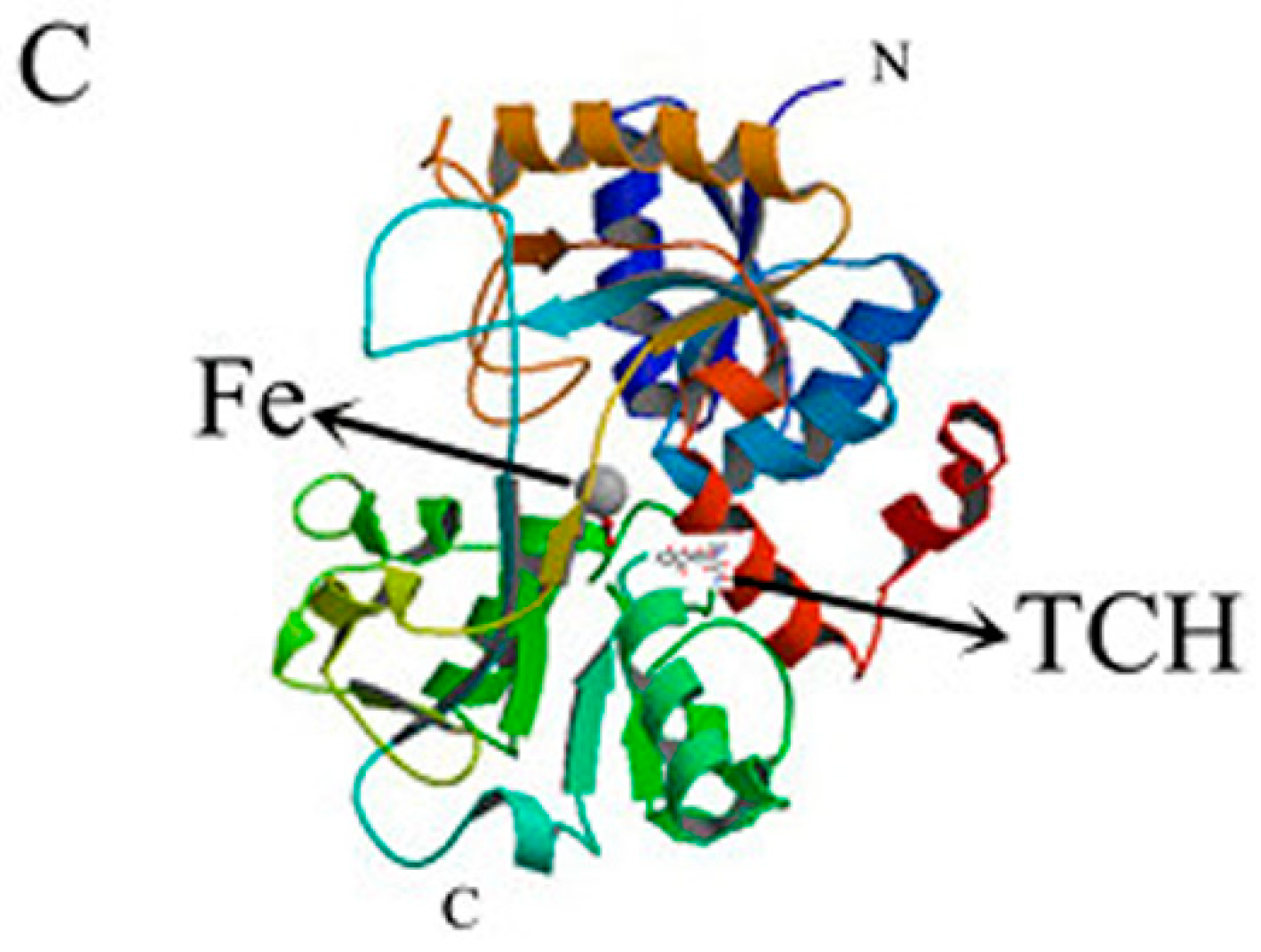 Molecules 23 01900 g008b Molecules 23 01900 g008b