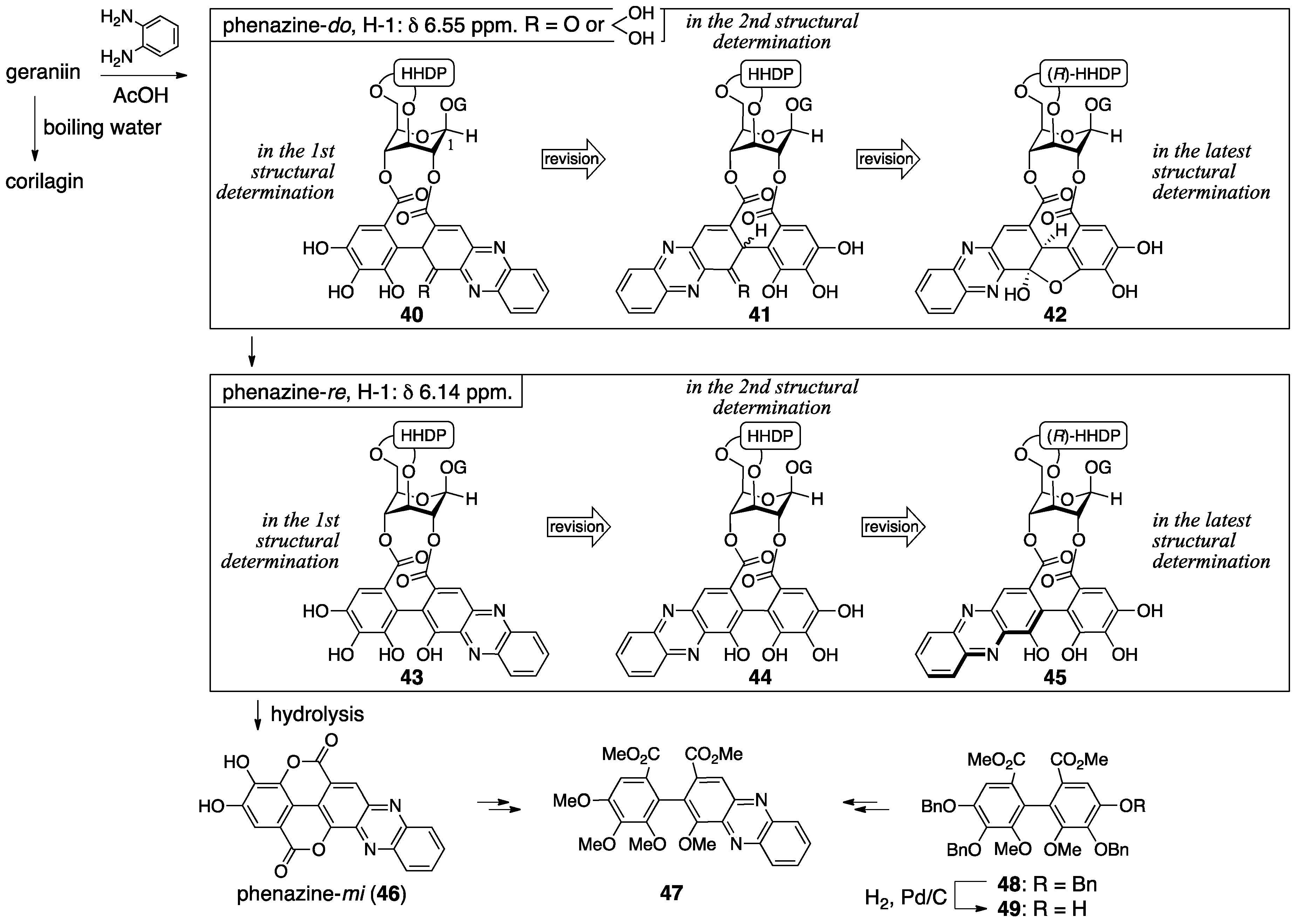 Molecules 23 01901 g020