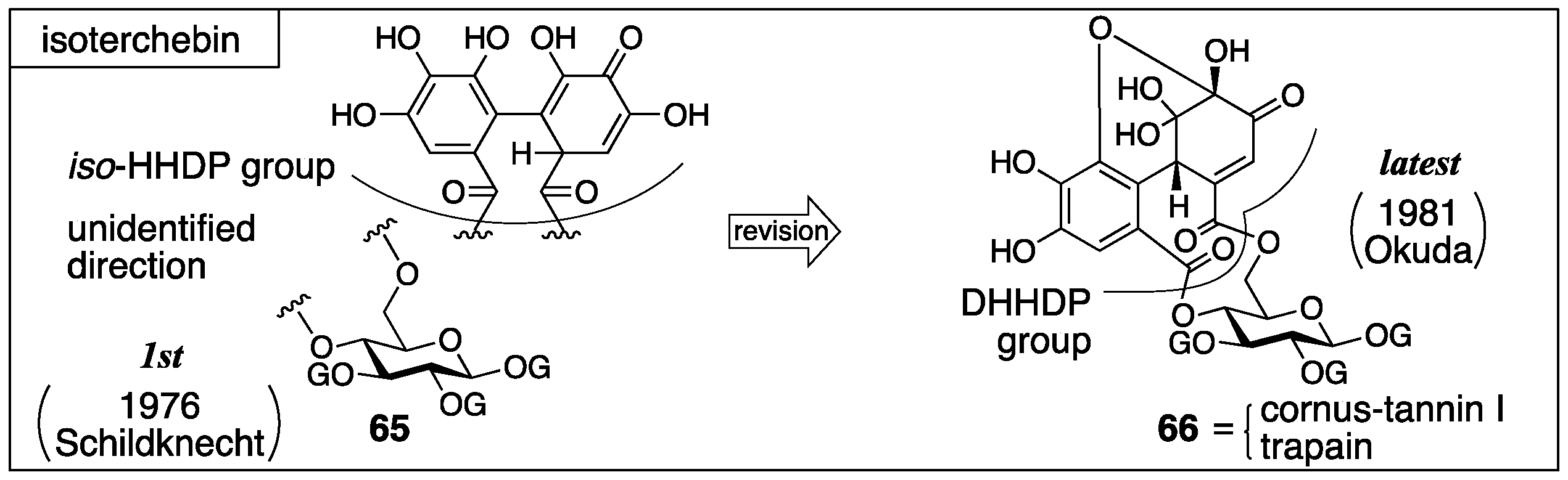 Molecules 23 01901 g027