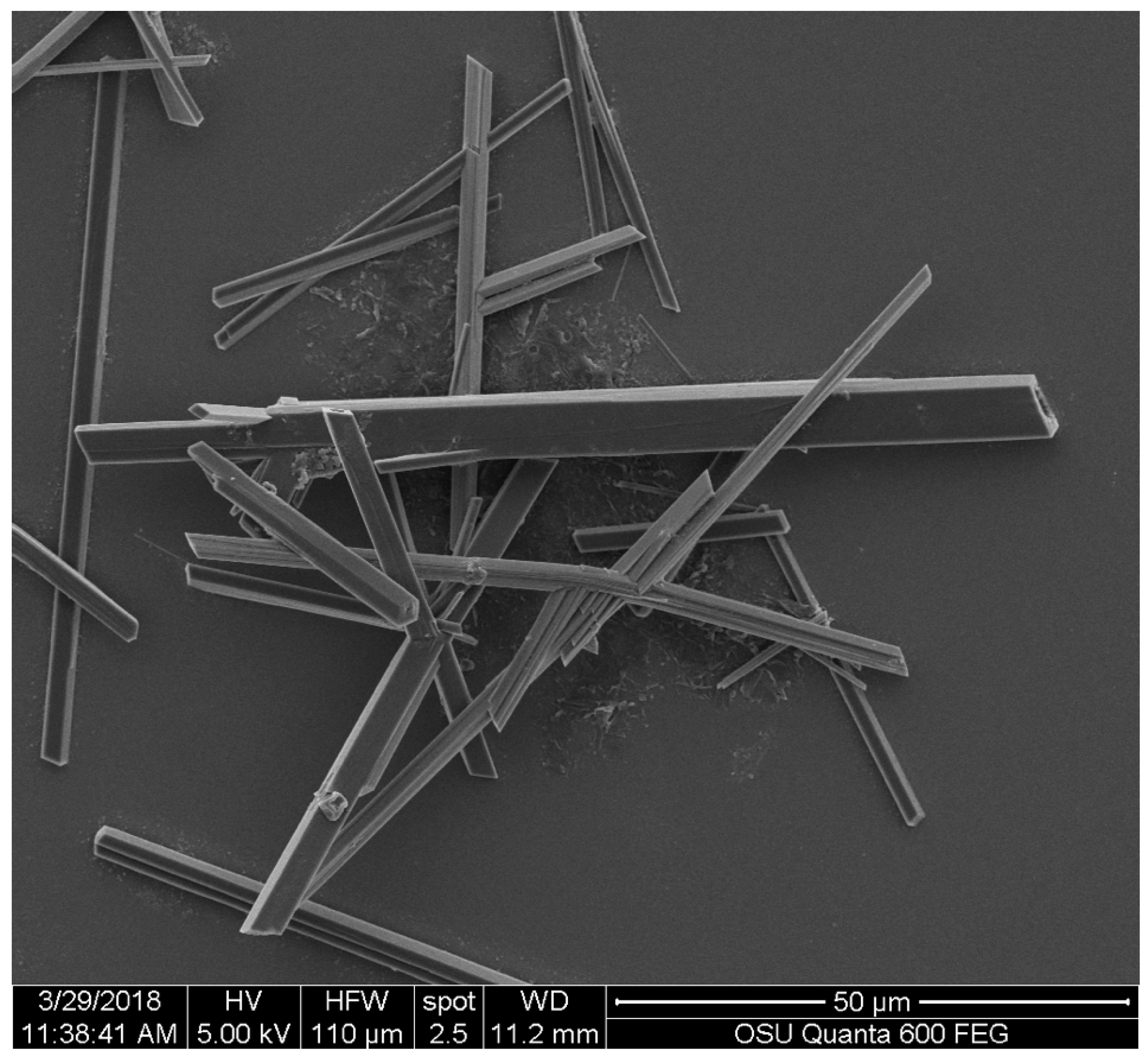 Molecules 23 01905 g003 Molecules 23 01905 g003