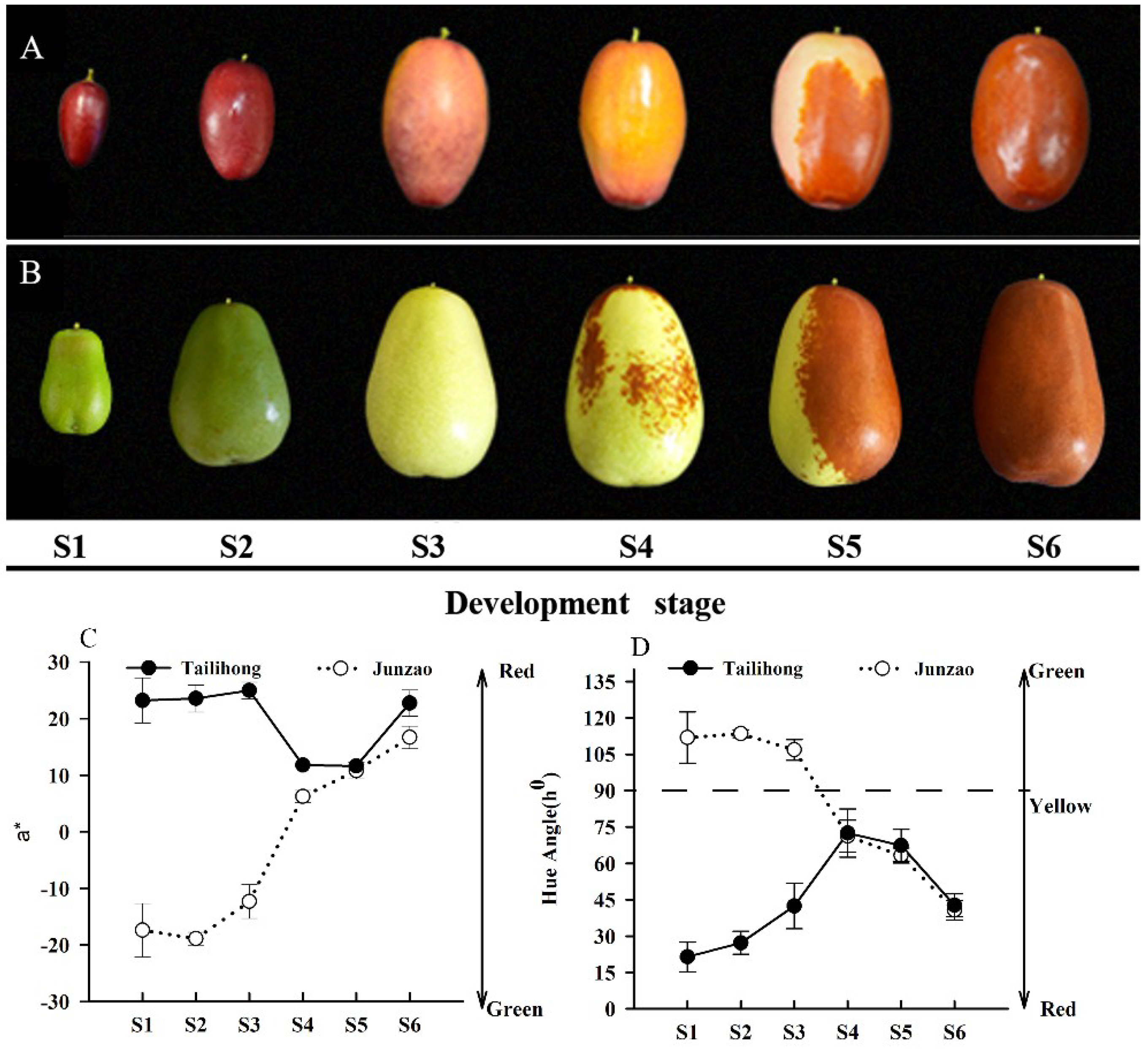 Molecules 23 01917 g001