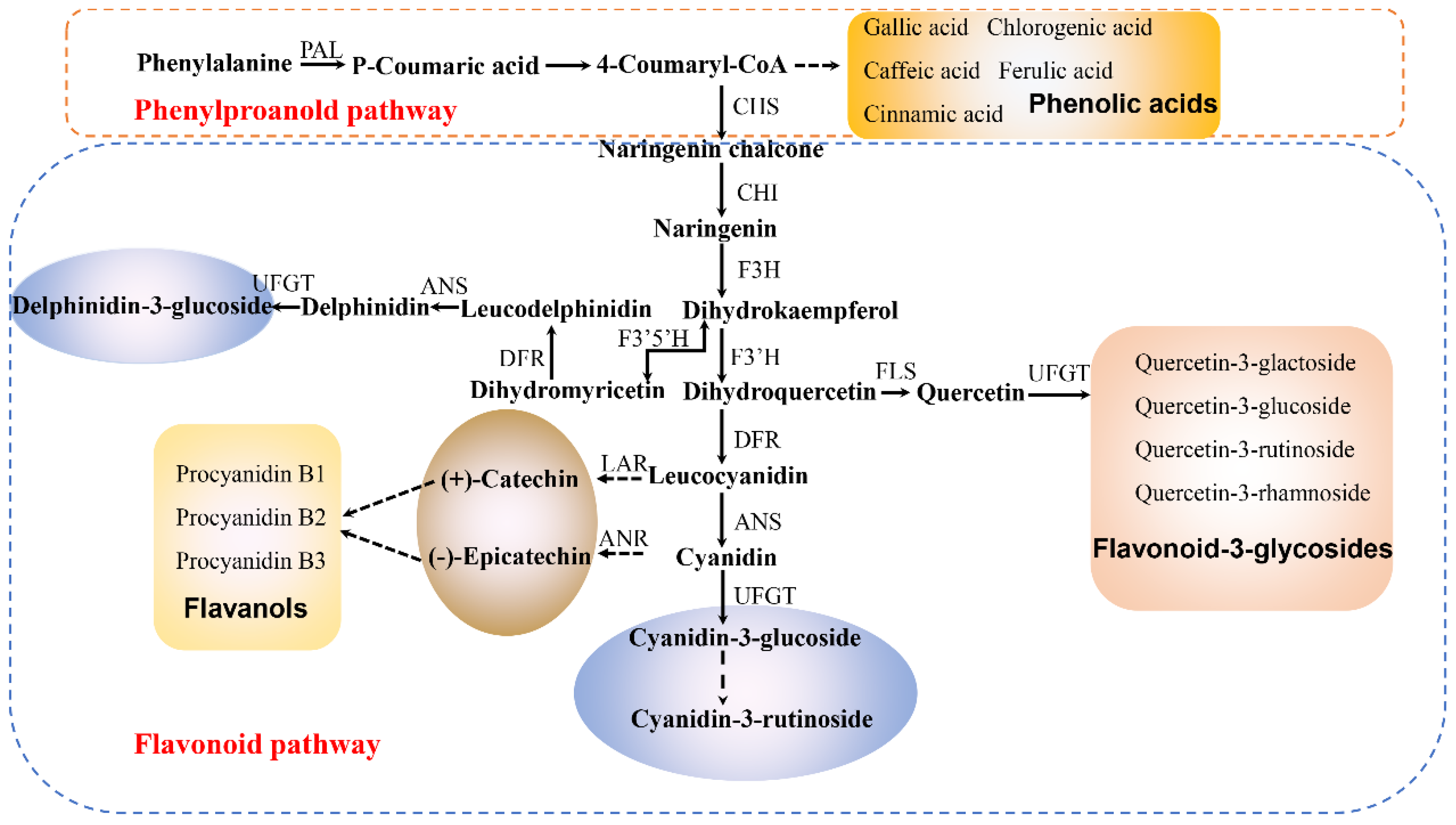 Molecules 23 01917 g003