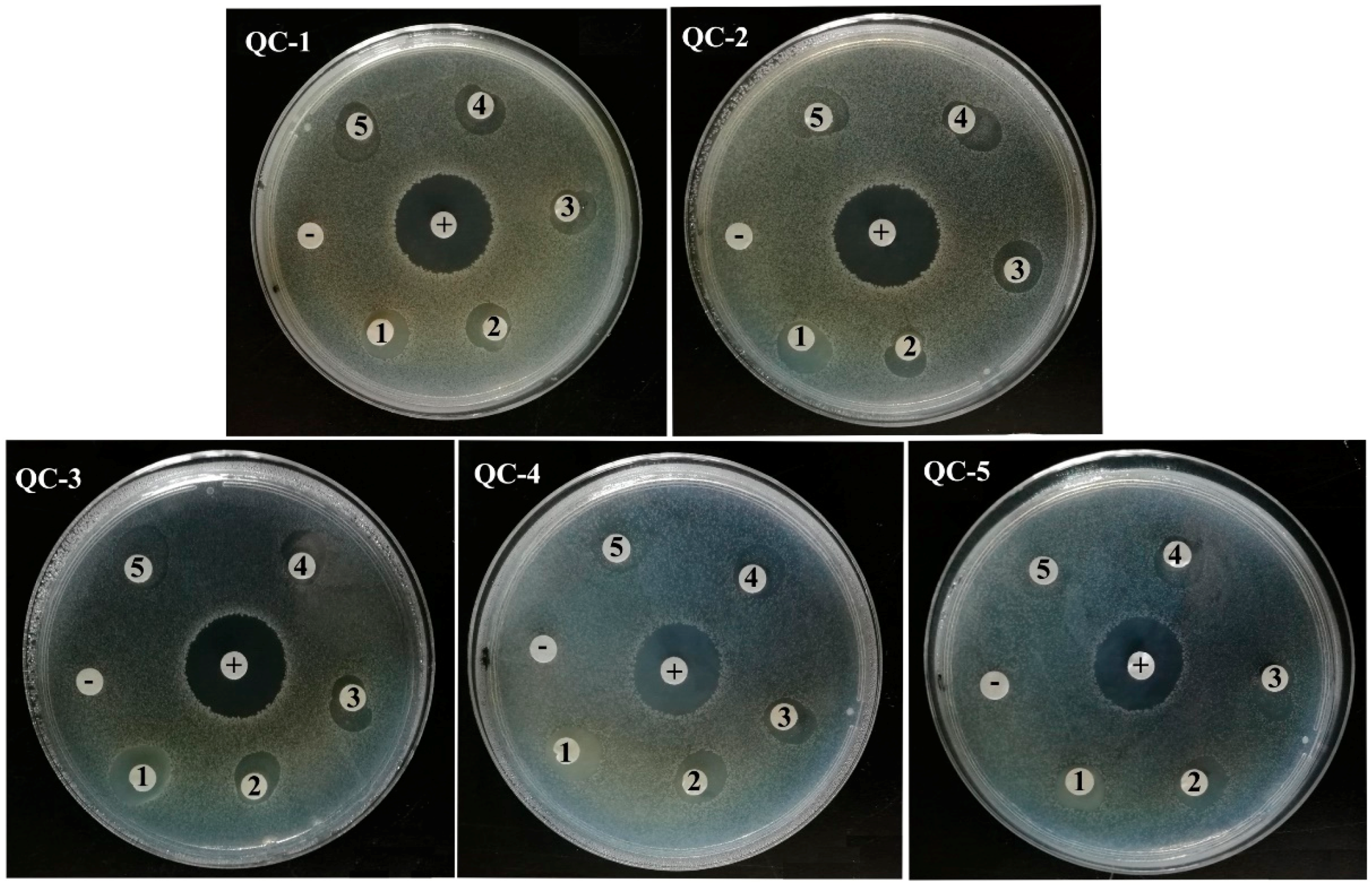 Molecules 23 01921 g005
