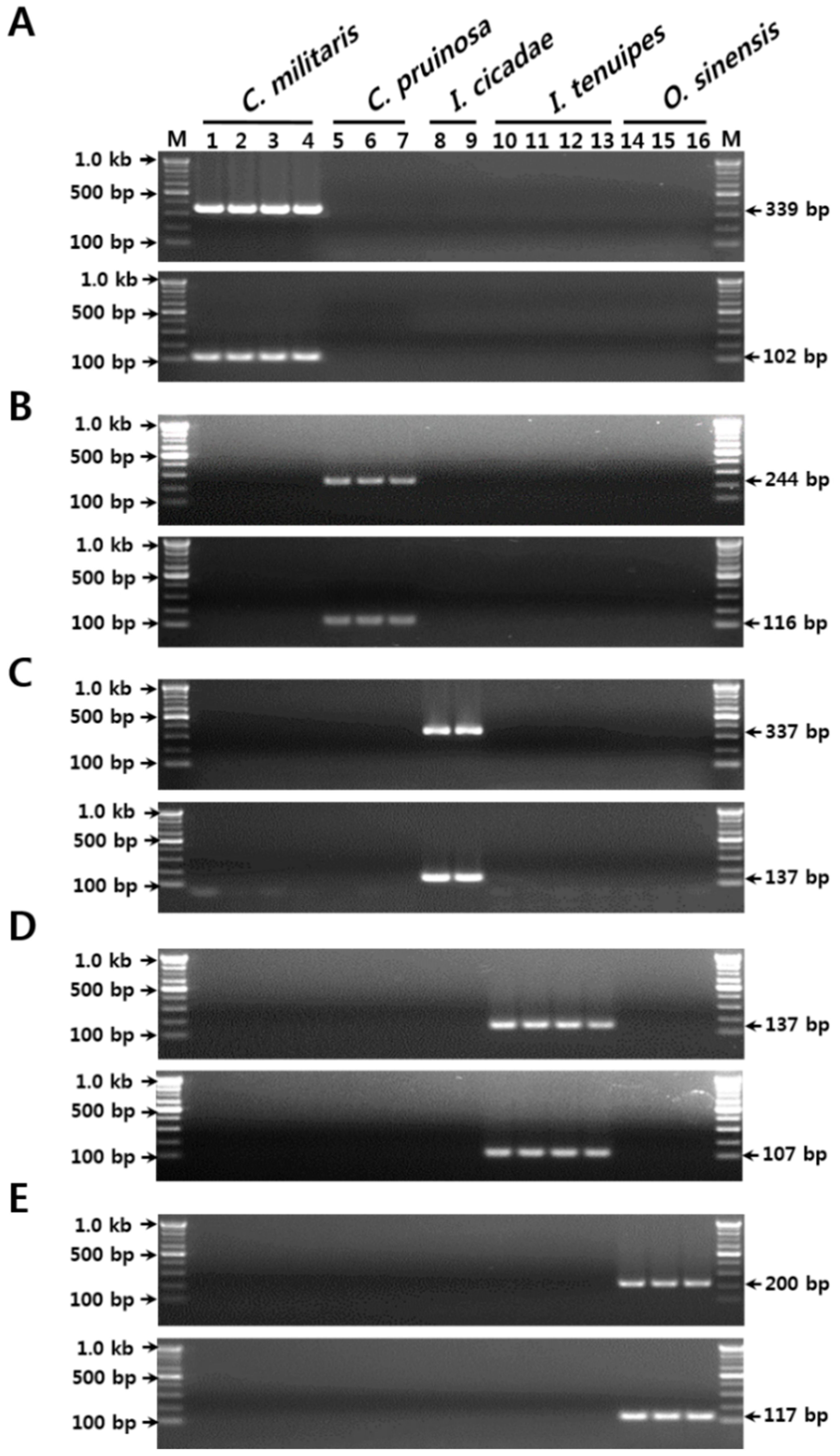 Molecules 23 01932 g001 Molecules 23 01932 g001
