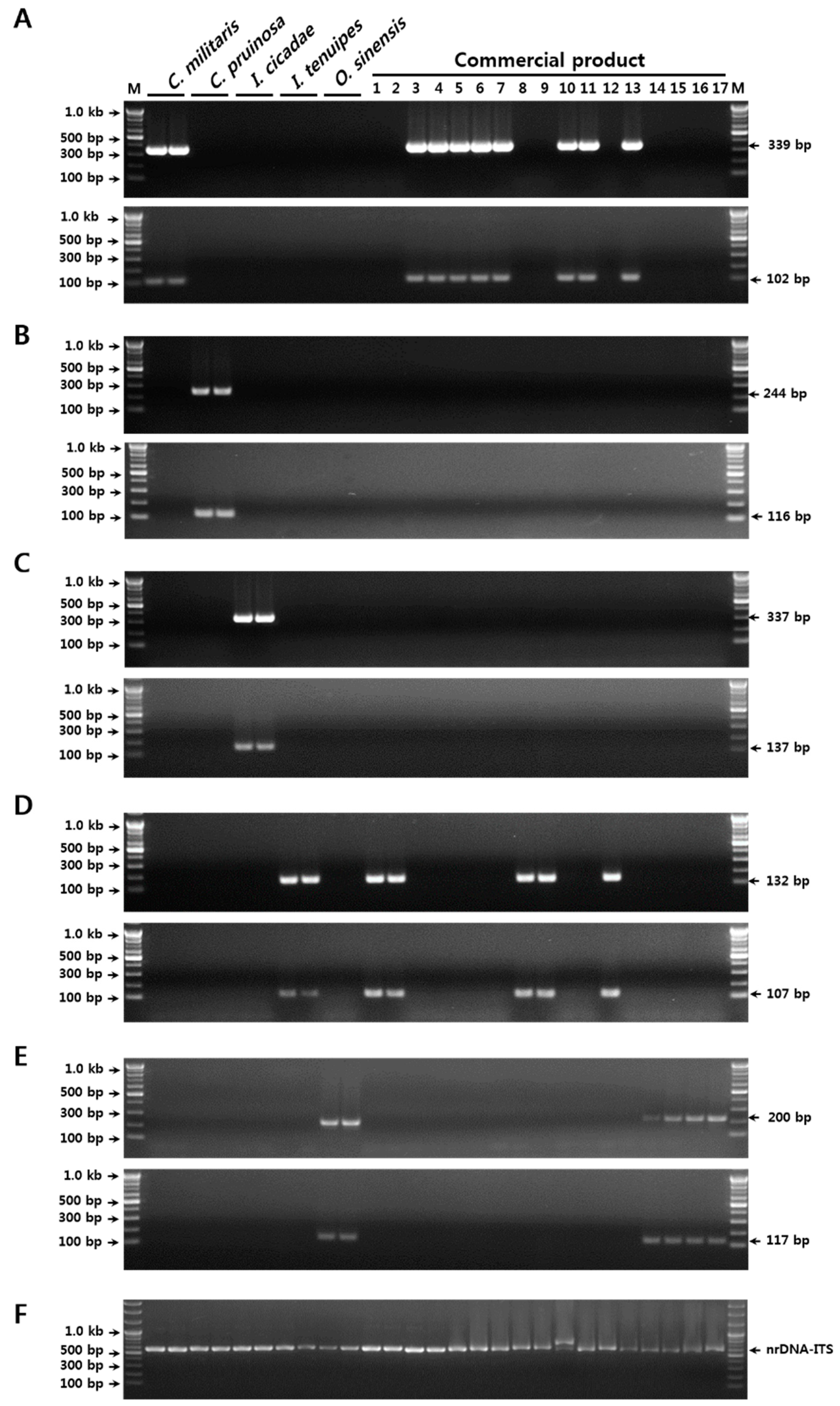 Molecules 23 01932 g003 Molecules 23 01932 g003