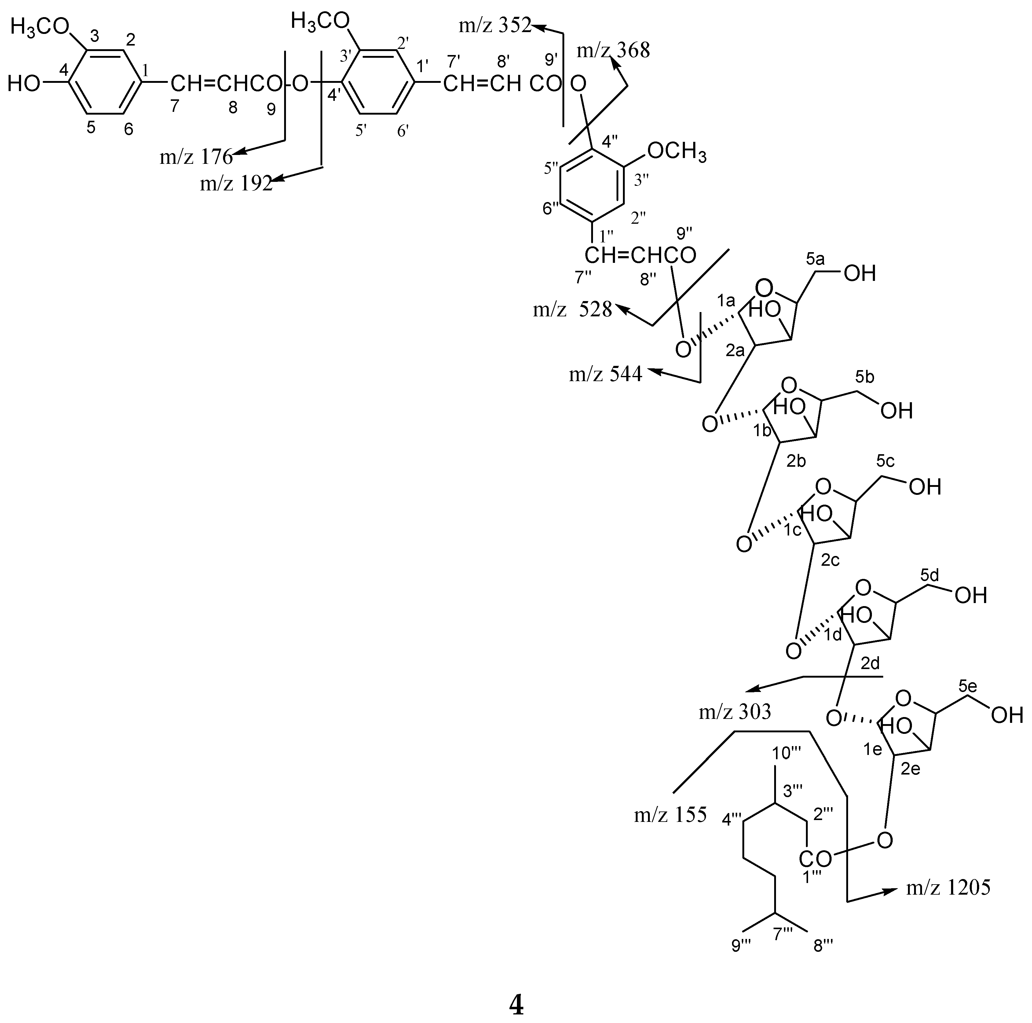 Molecules 23 01933 g005