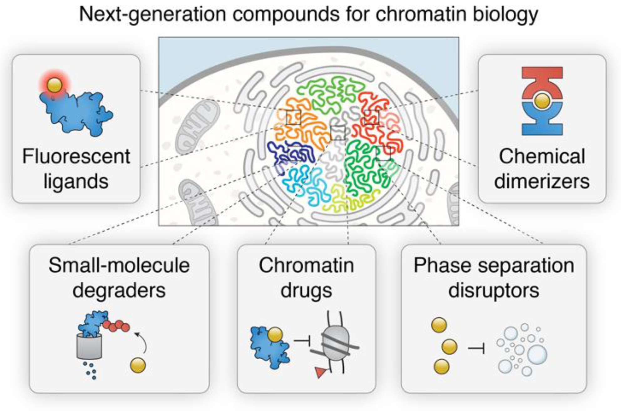 Molecules 23 01958 g001