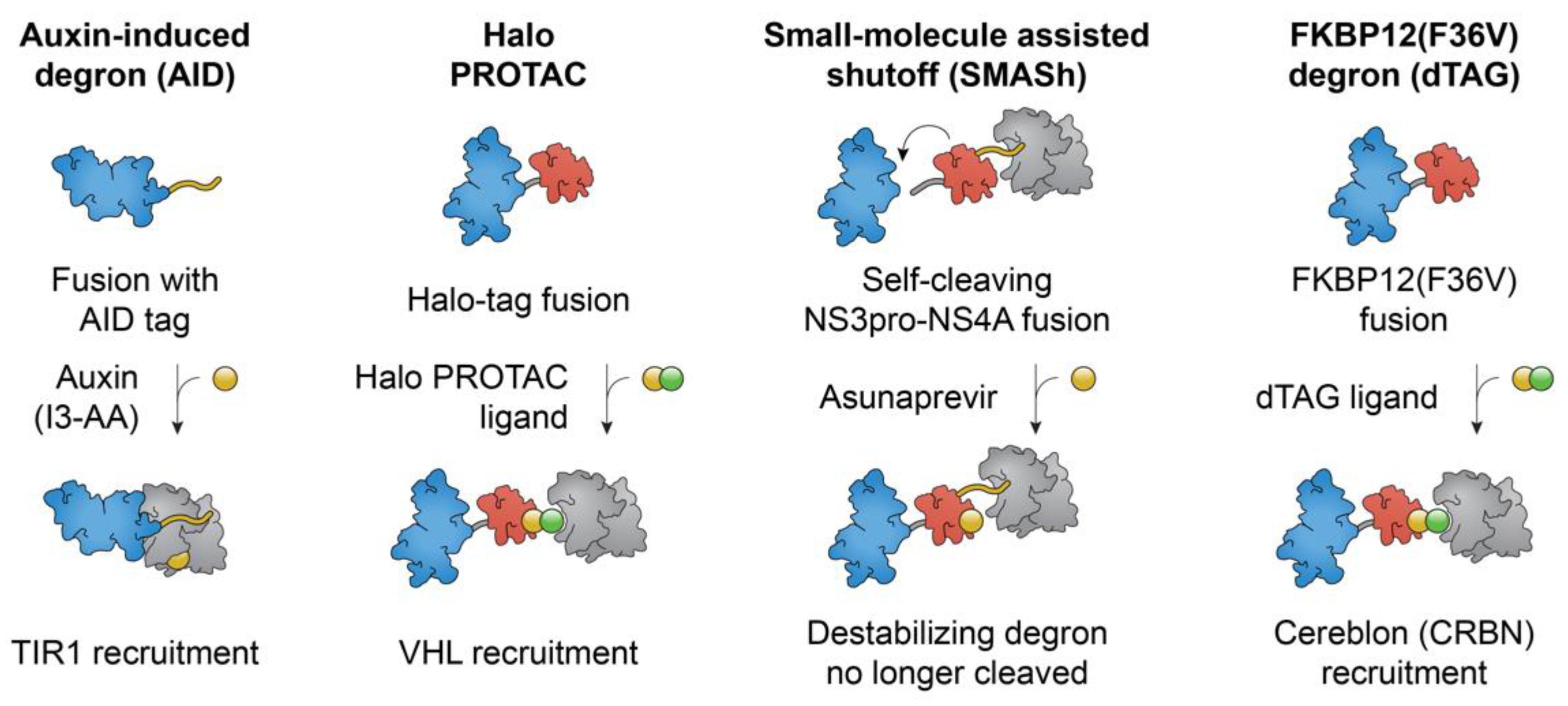 Molecules 23 01958 g004