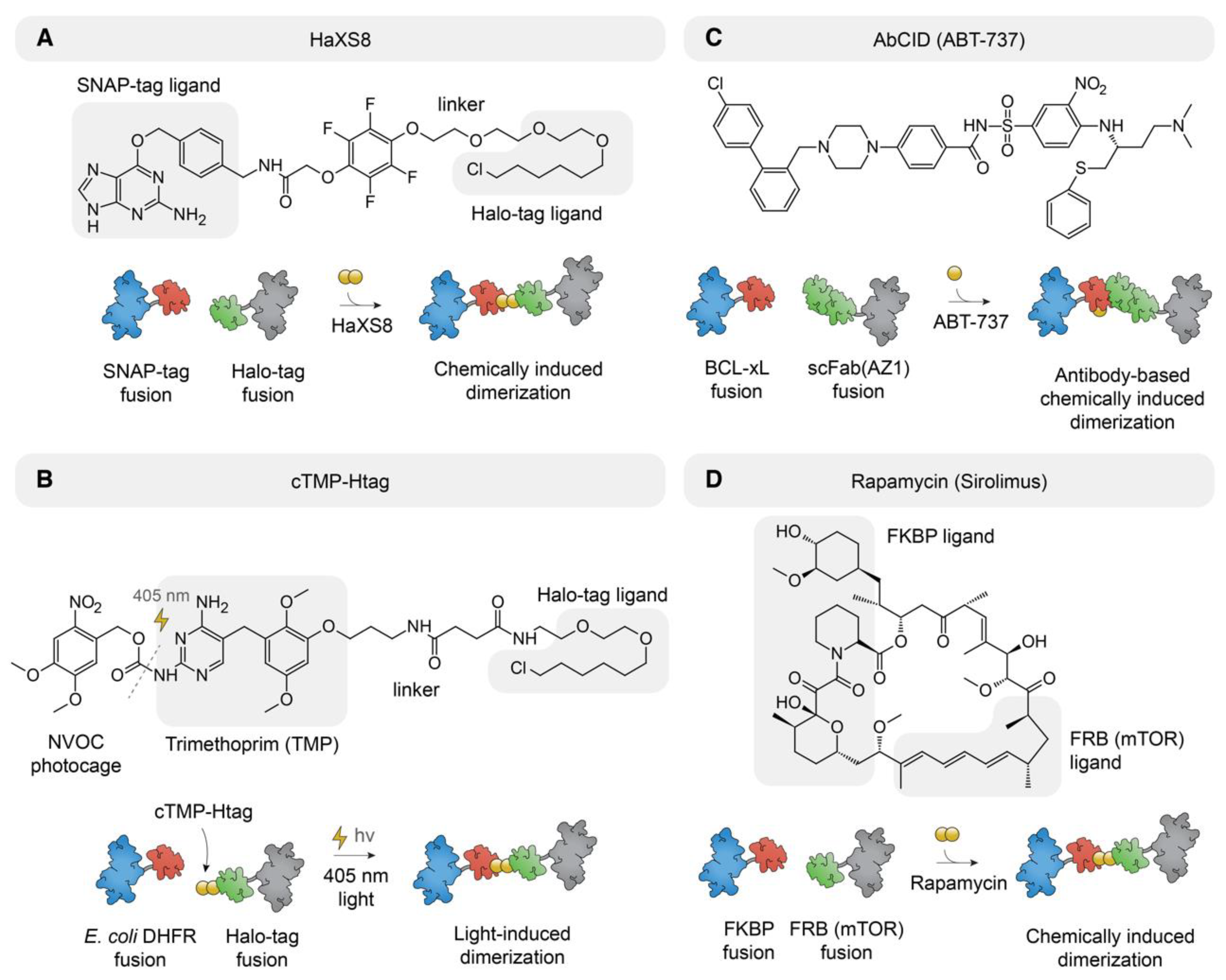 Molecules 23 01958 g005