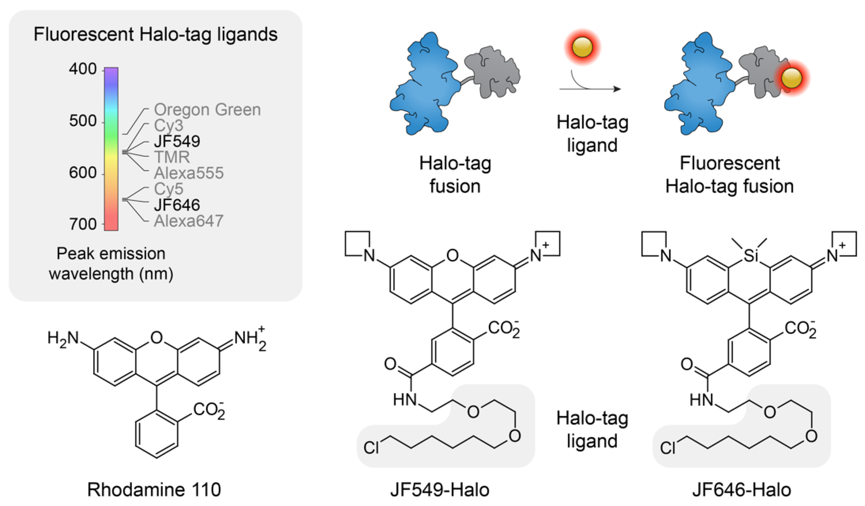 Molecules 23 01958 g007