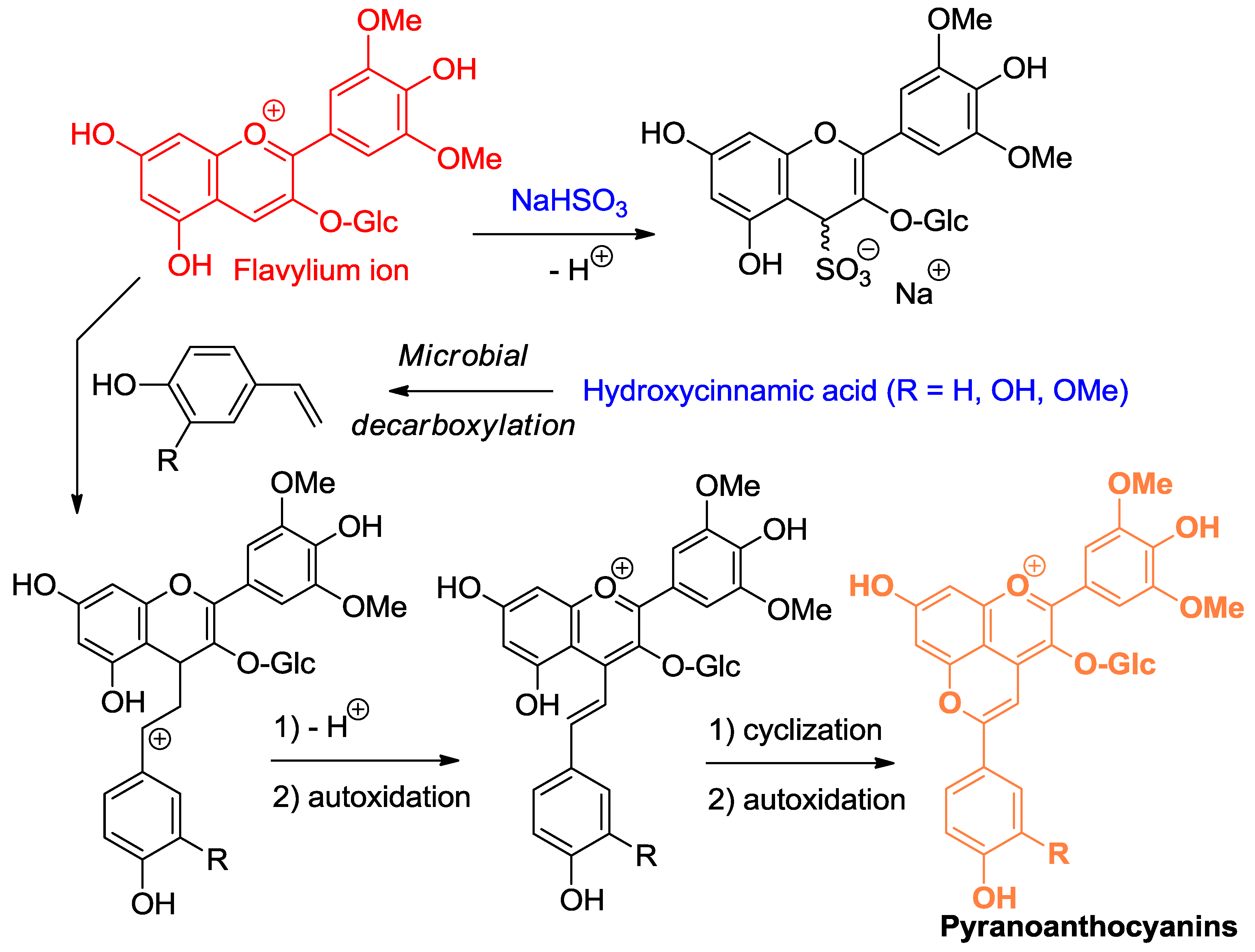 Molecules 23 01970 g006