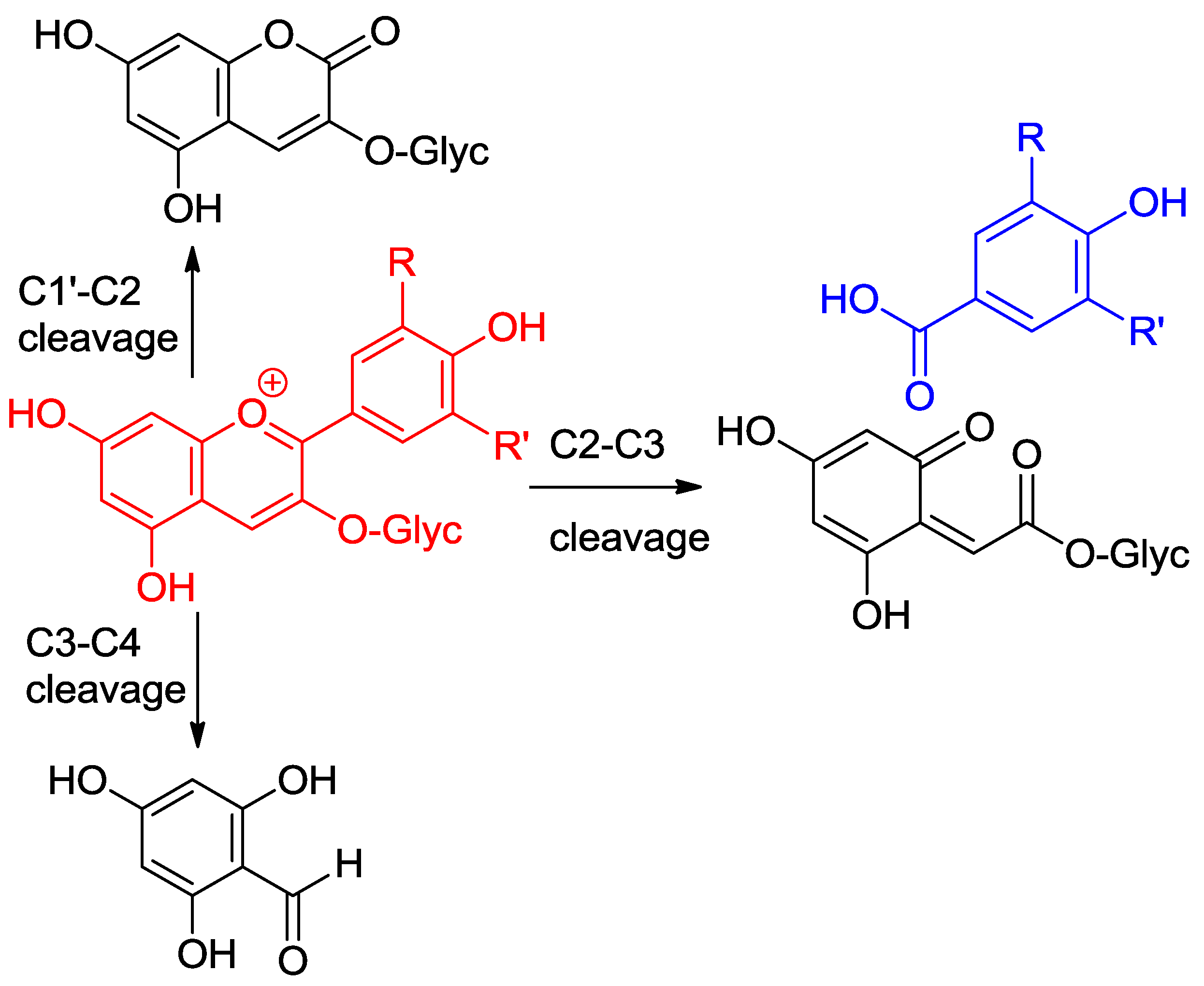Molecules 23 01970 g008