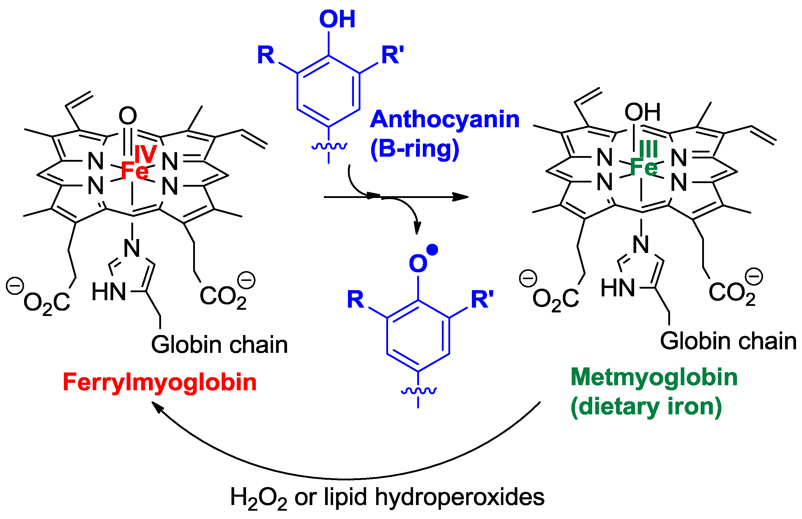 Molecules 23 01970 g011