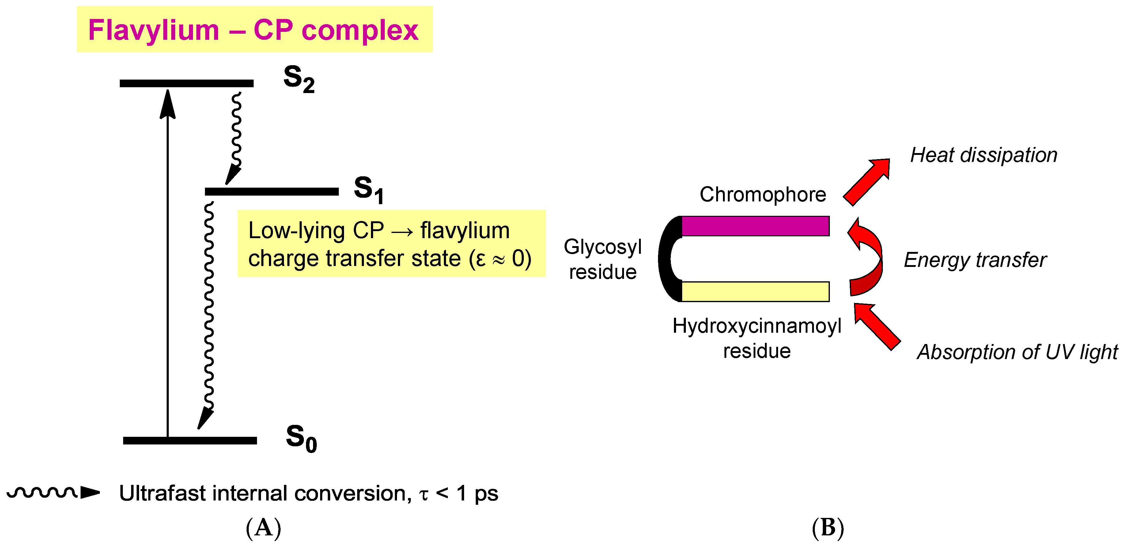 Molecules 23 01970 g017